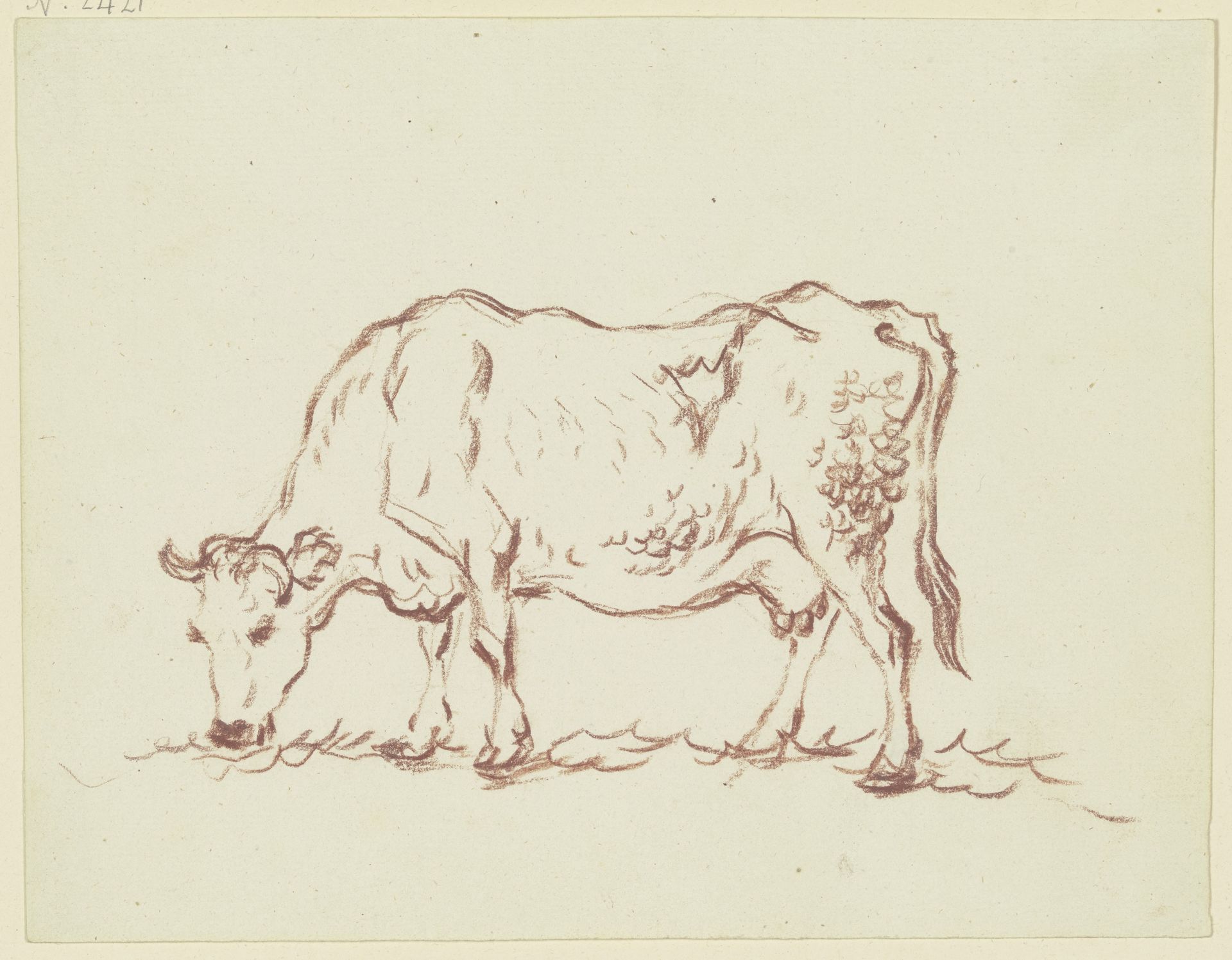 Grazing cow to the left by Friedrich Wilhelm Hirt