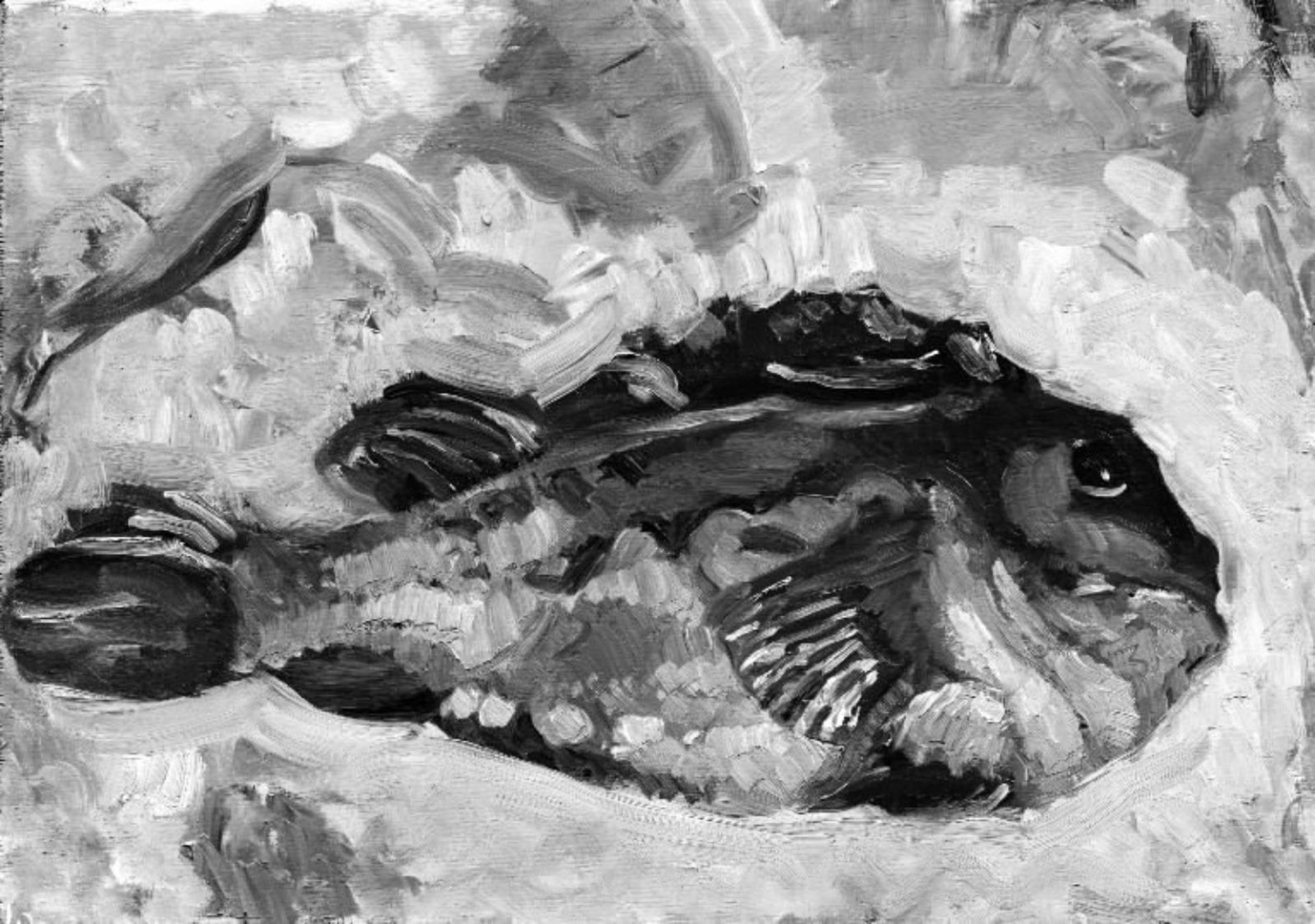 A Lumpfish by Oluf Hartmann
