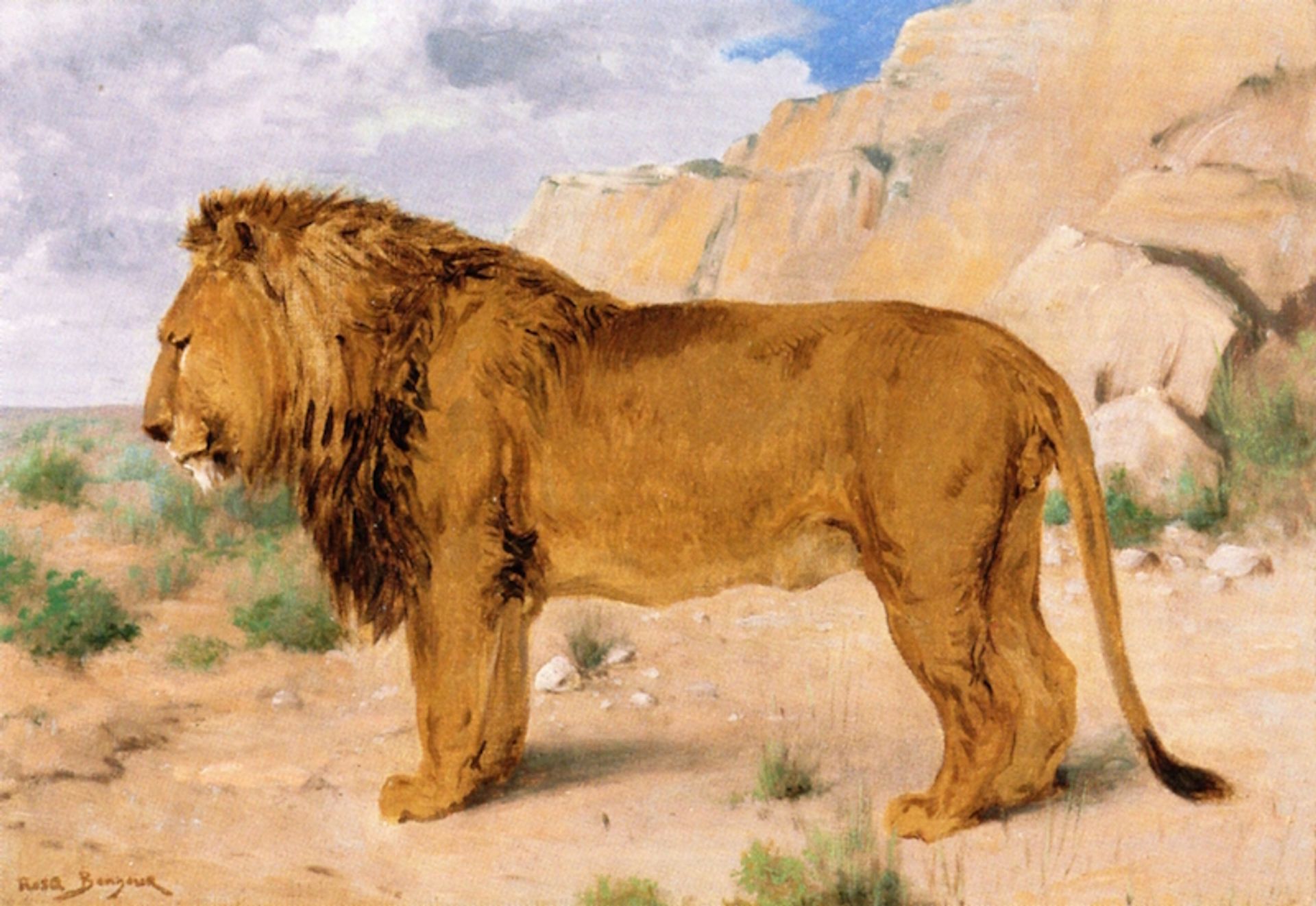 Study of a Lion by Rosa Bonheur