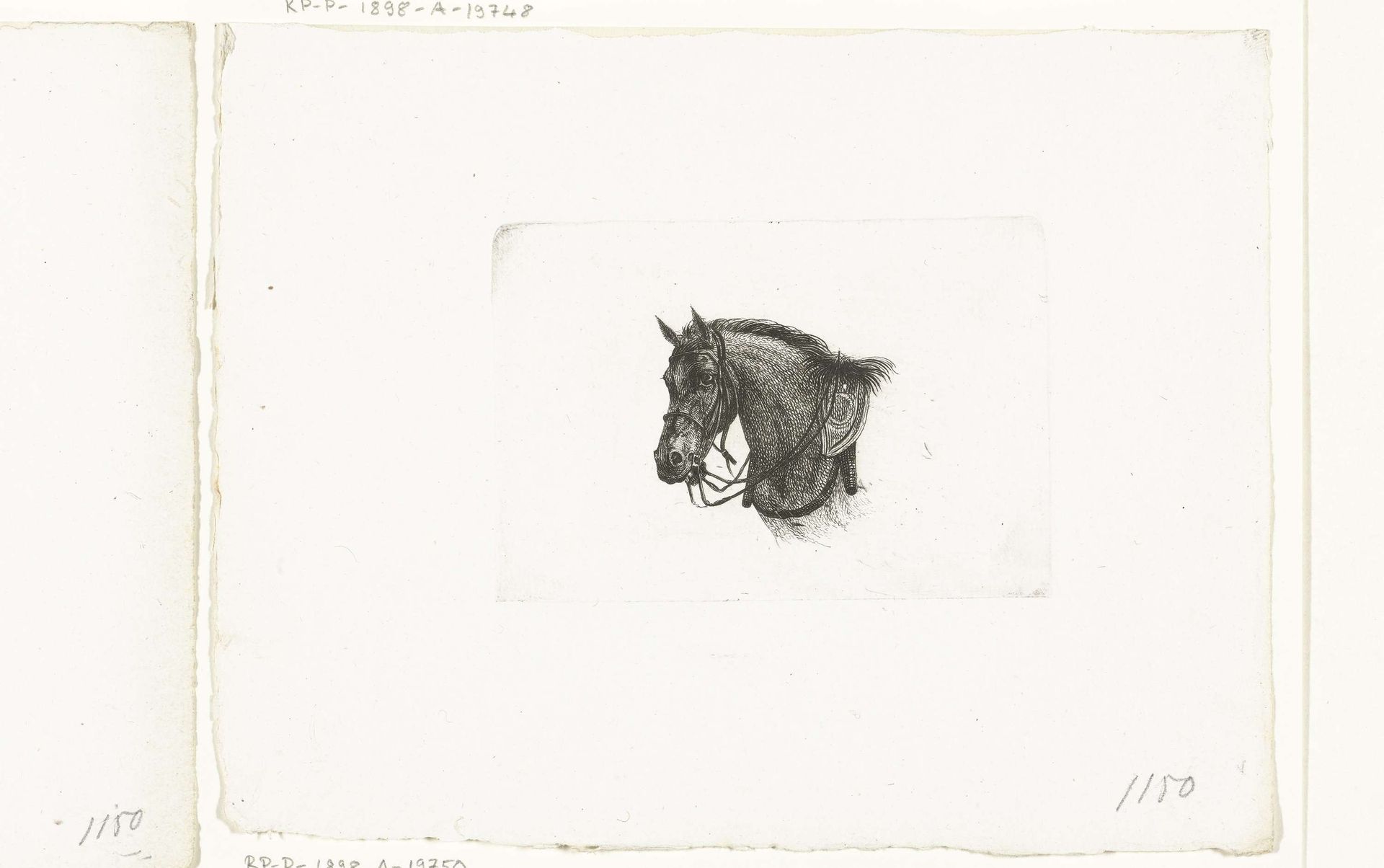 Paardenhoofd in lichtgebogen houding naar links by Joannes Bemme