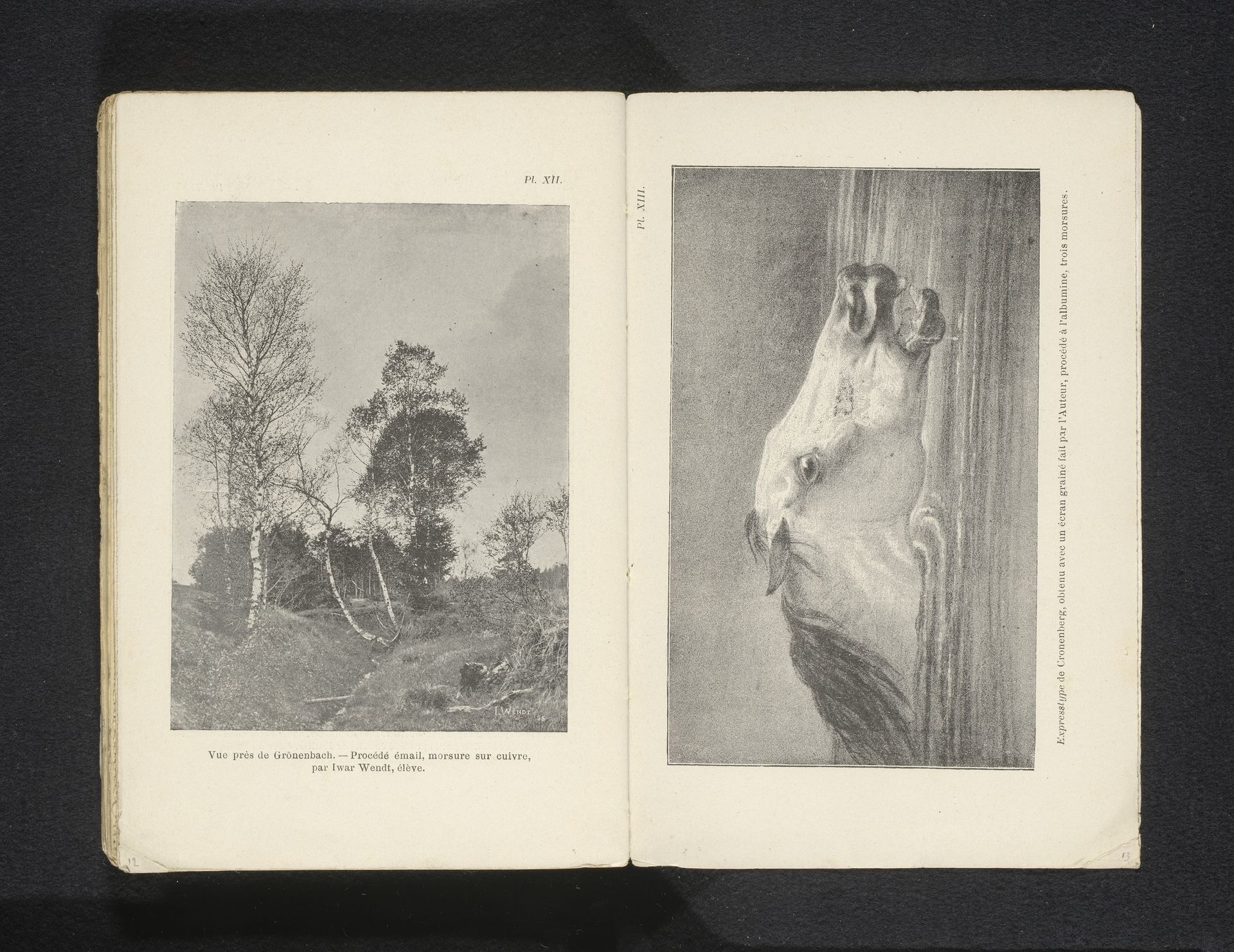 Fotoreproductie van een tekening van het hoofd van een paard in het water by Wilhelm Cronenberg