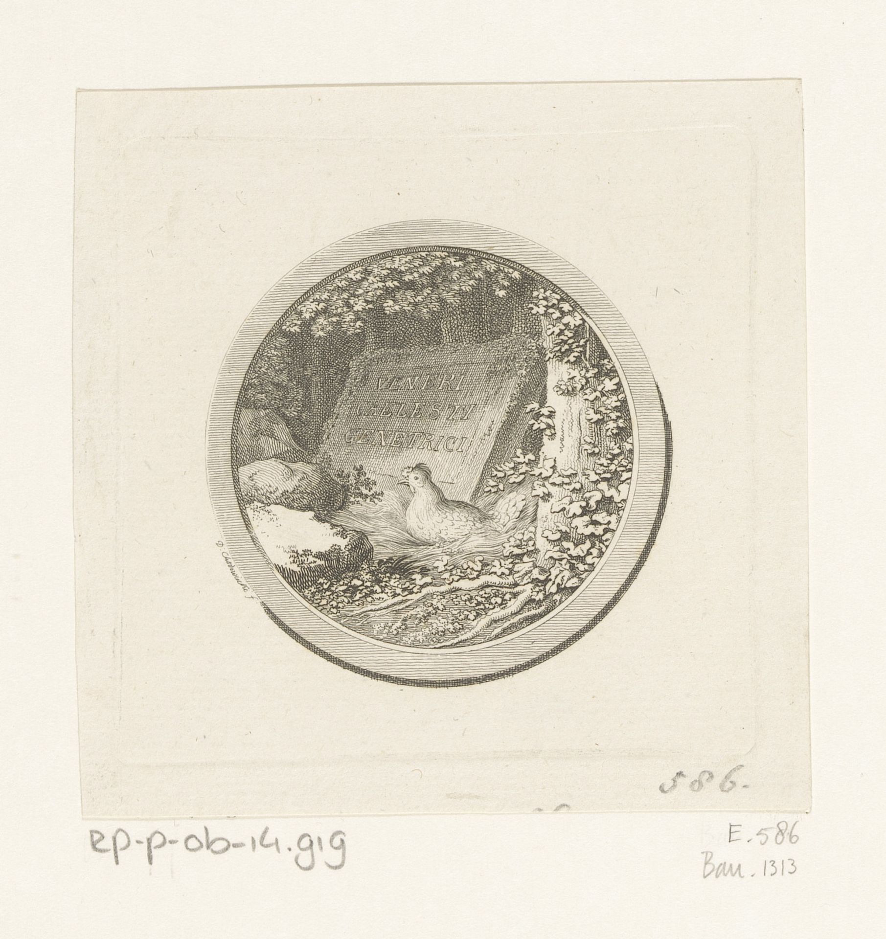 Kip op haar nest, daar achter een steen waarin de tekst 'Venus hemelse moeder' is gehouwen by Daniel Nikolaus Chodowiecki