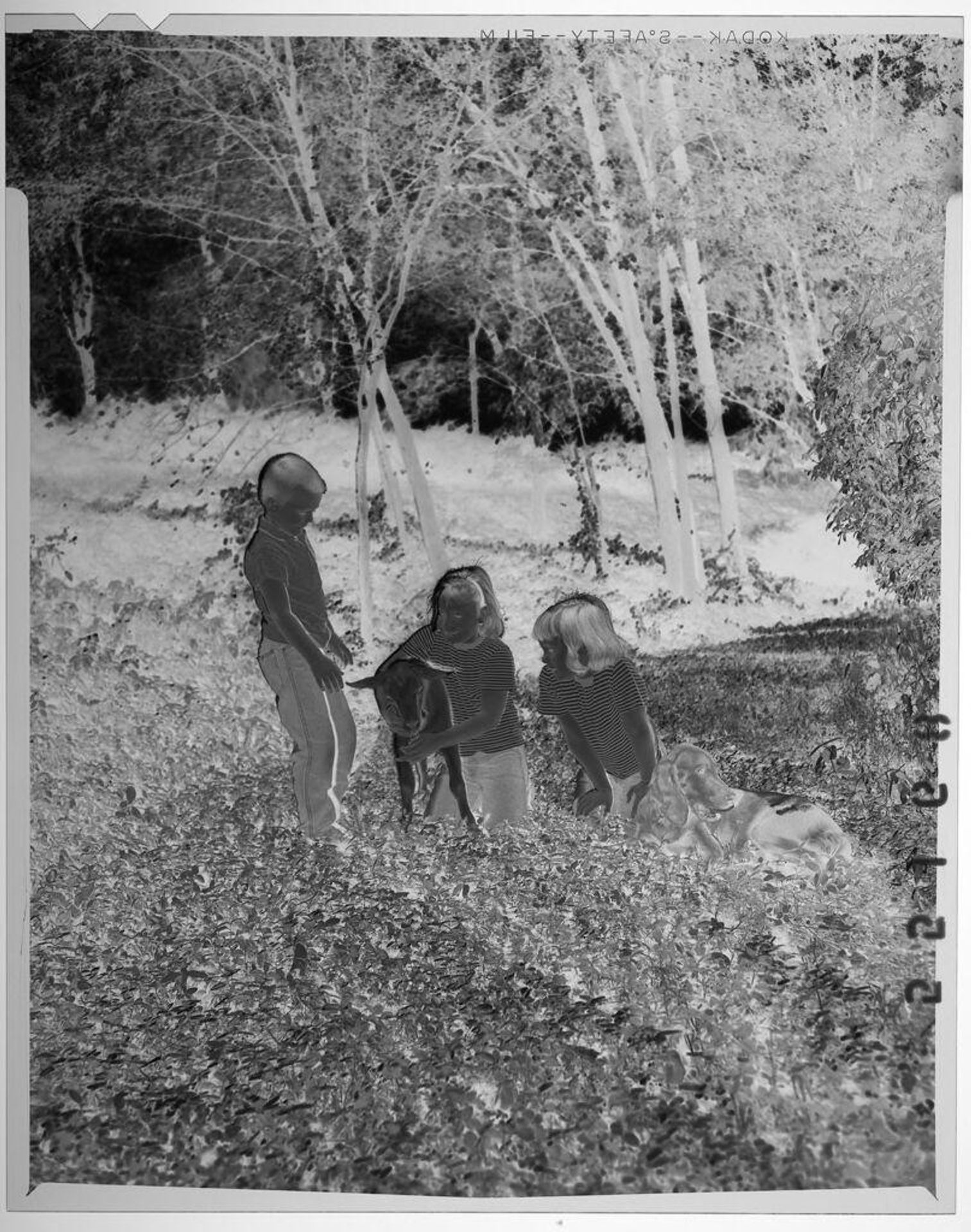 Untitled (three children in striped shirts posing with dog and goat outdoors) by Martin Schweig