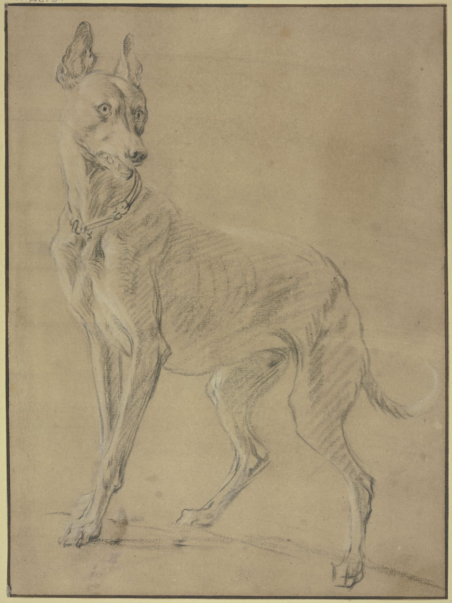 Greyhound to the left by Jan Weenix