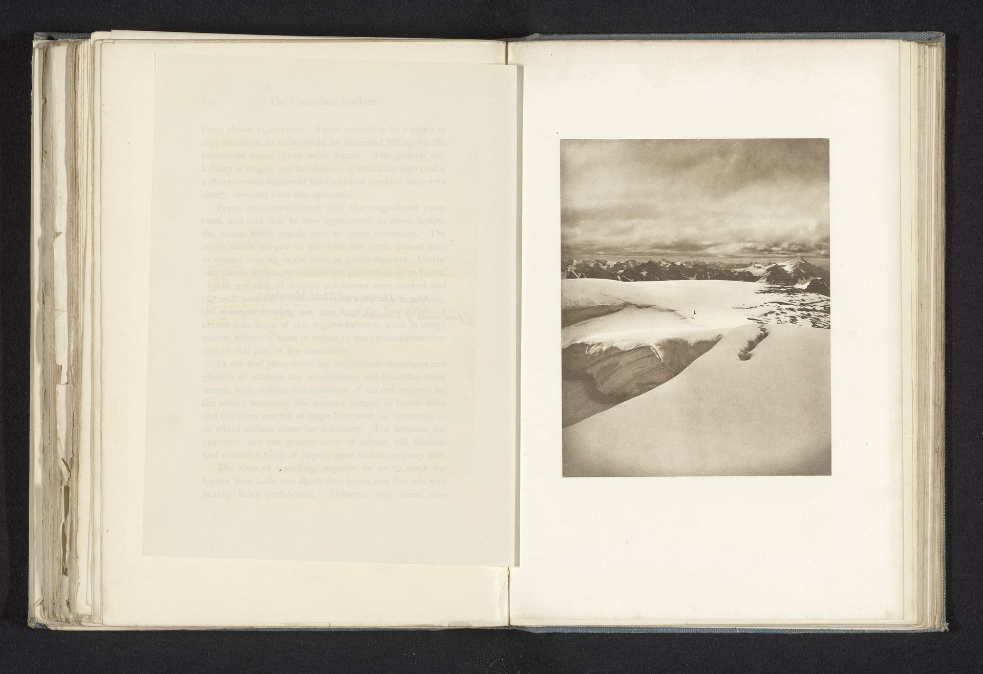 Gezicht op Mount Hector en de Slate-bergketen by Walter Dwight Wilcox