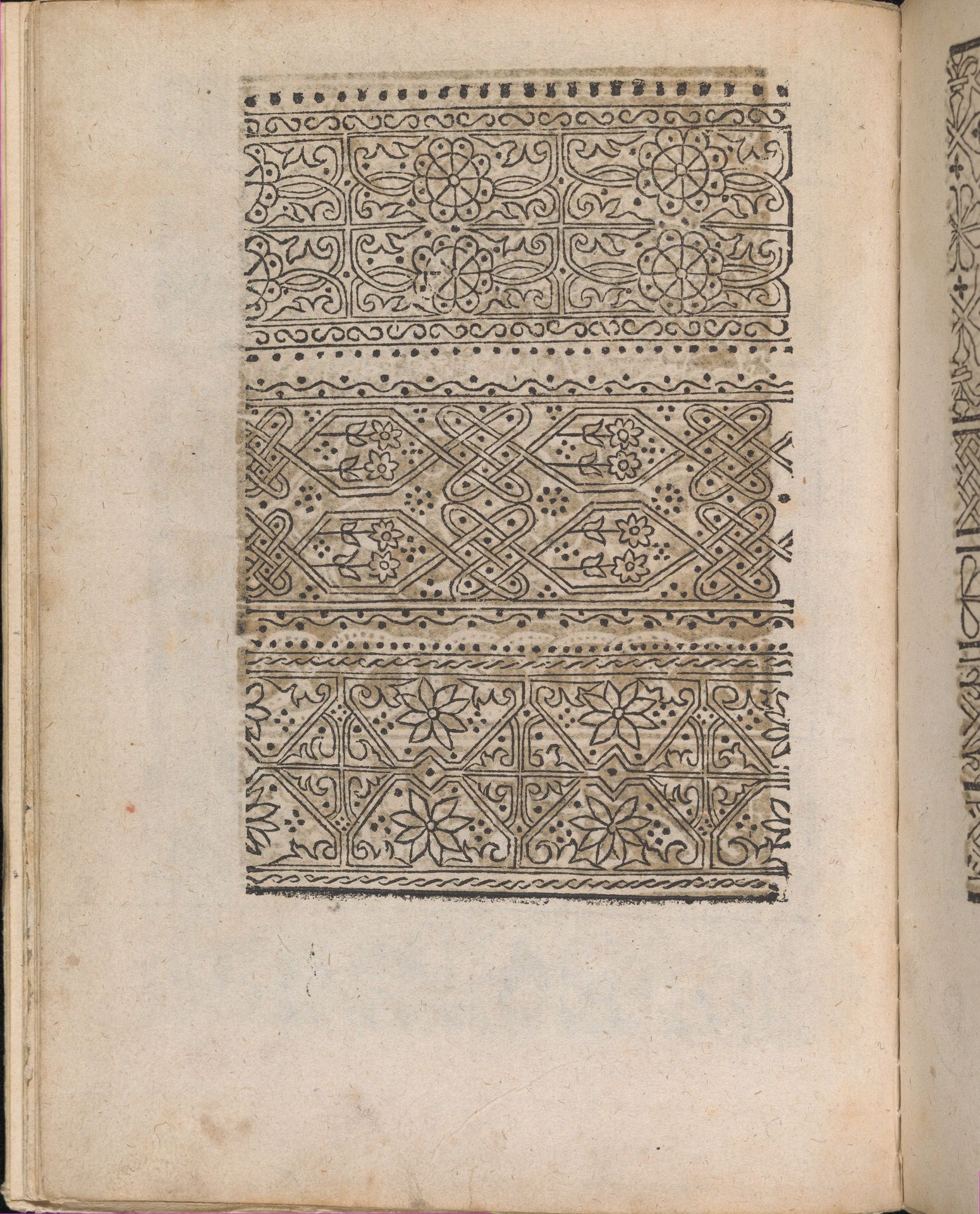 Modelbuch aller Art Nehens vn Stickens (Page 9v) by Christian Egenolff