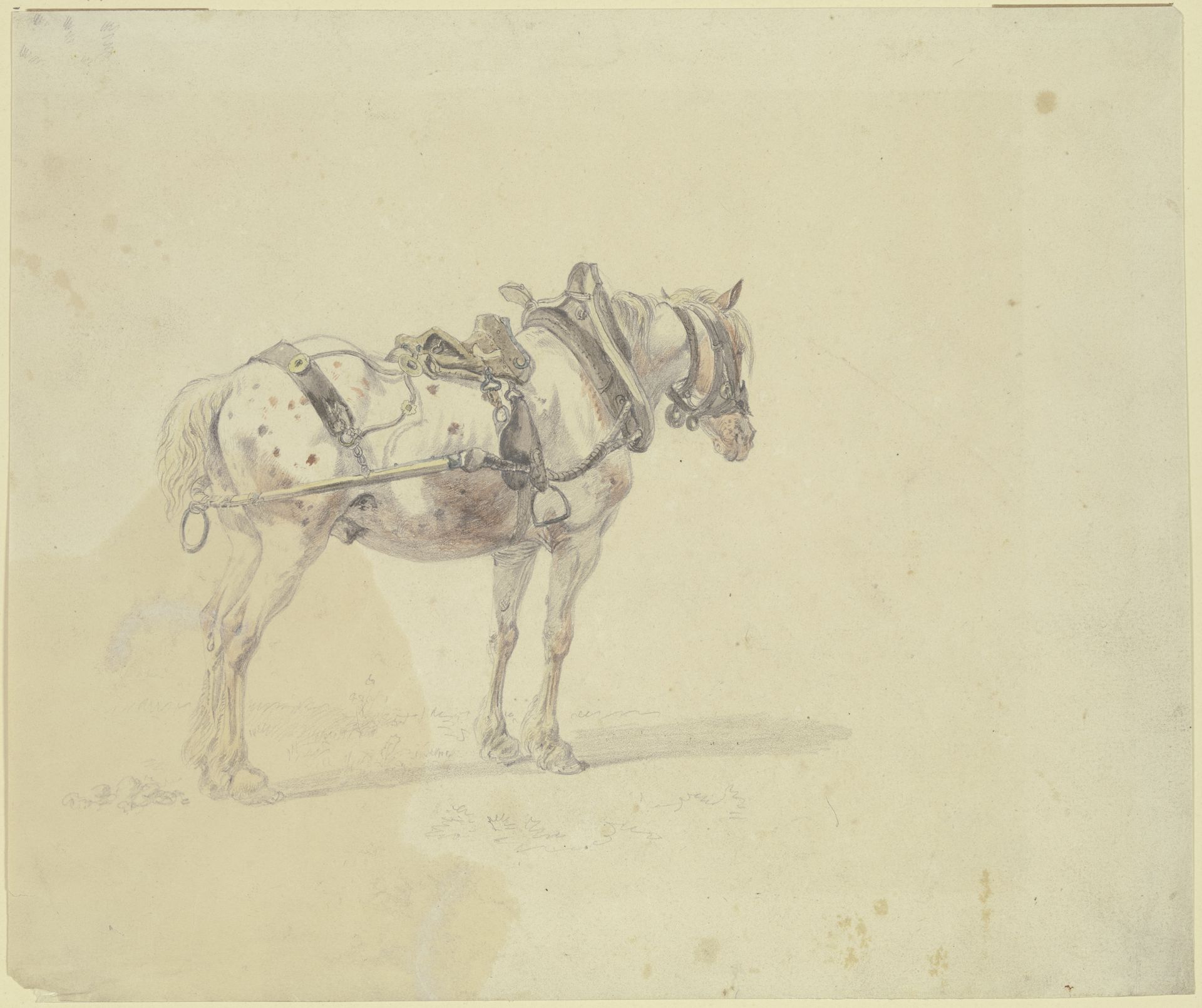 Harnessed horse by Heinrich Bürkel