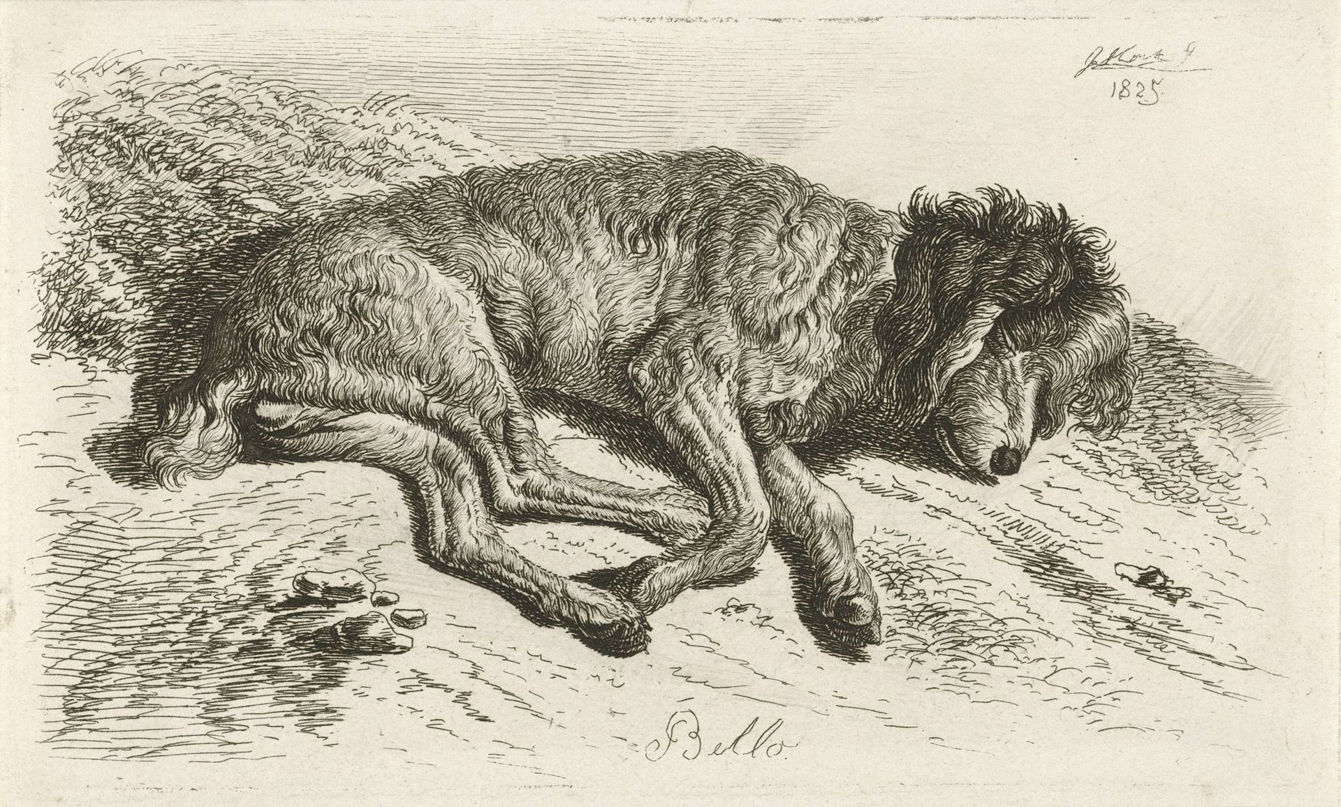 Slapende hond by Johannes Mock