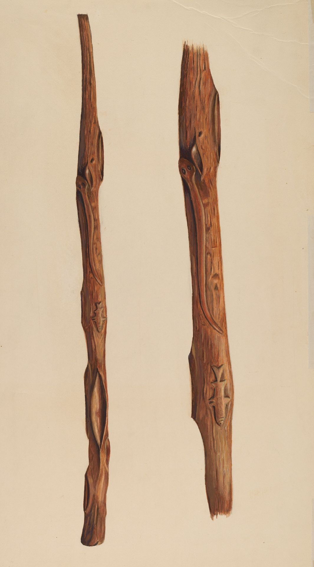 Walking Stick by Frank Gray