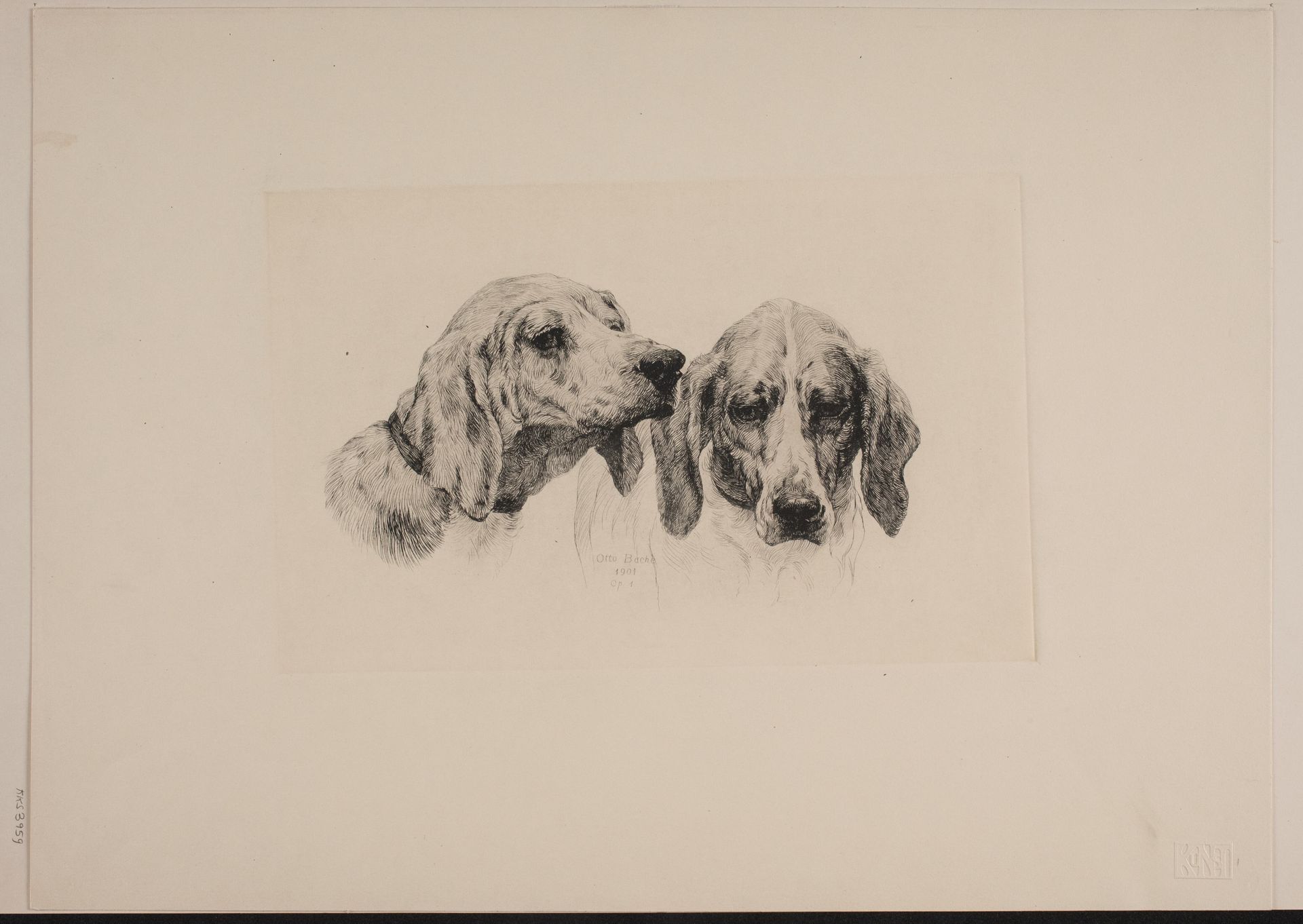 To hundehoveder by Otto Bache