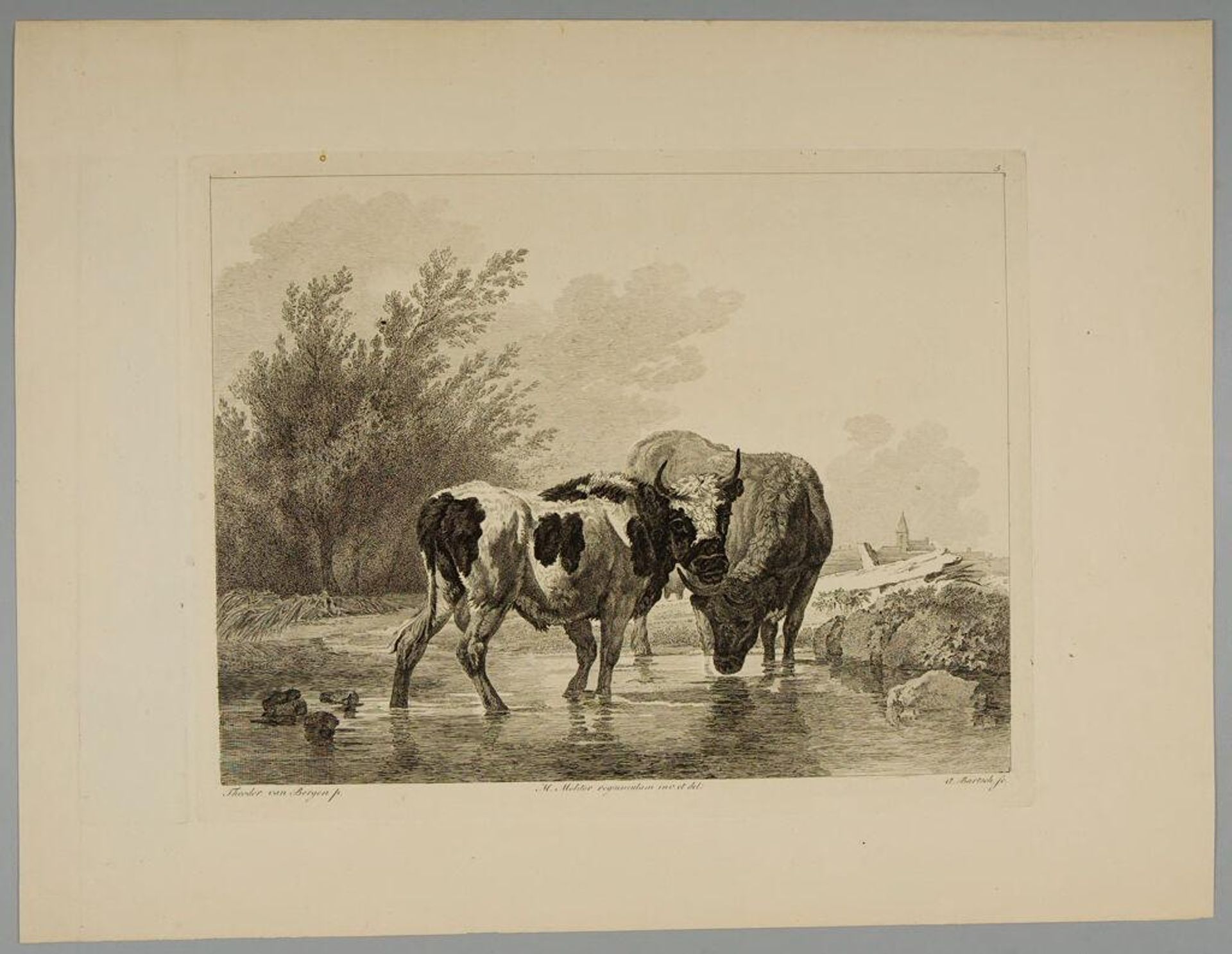 Cattle by Adam von Bartsch