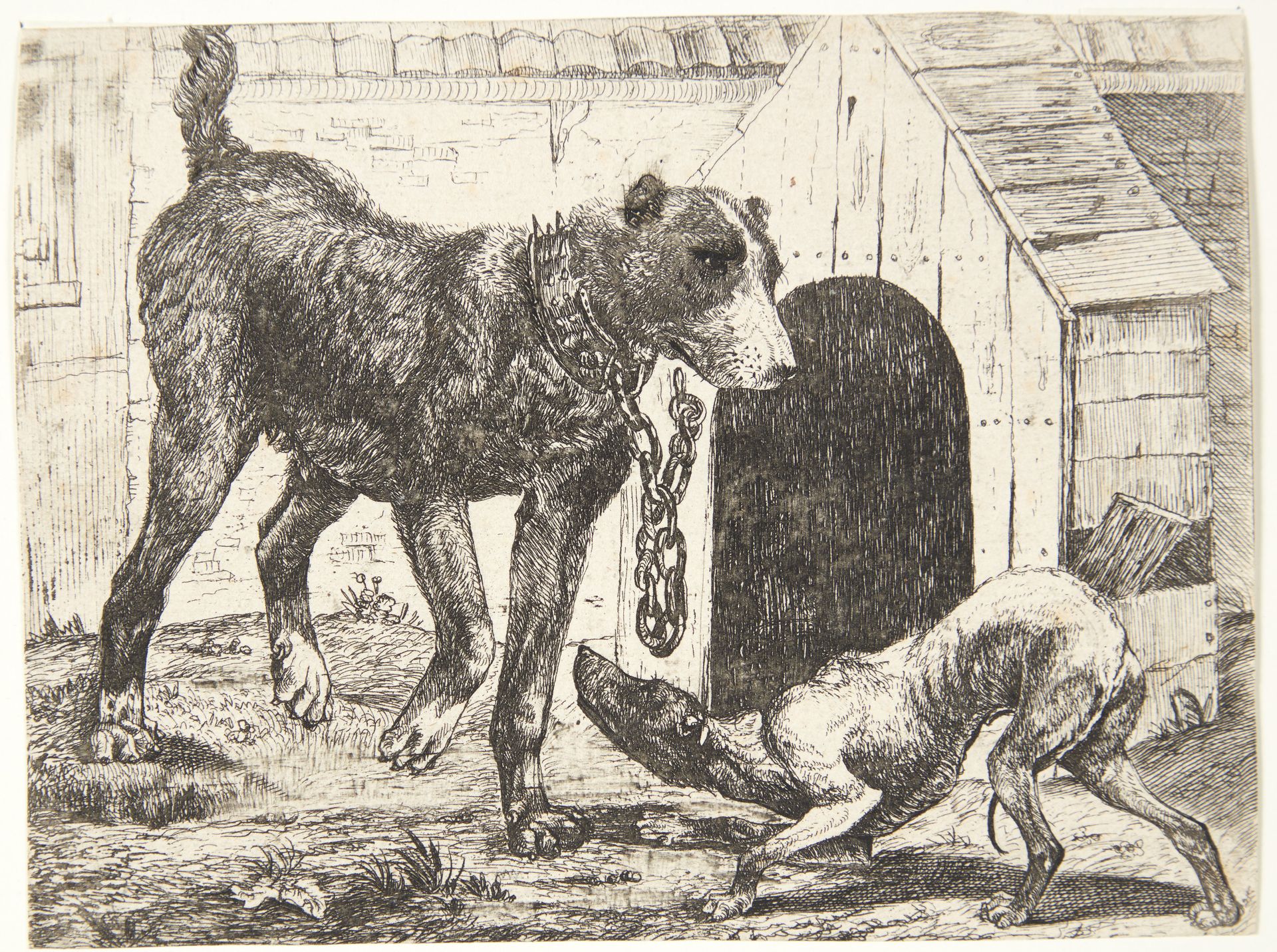Hund i lænke by Paulus van Hillegaert (II)