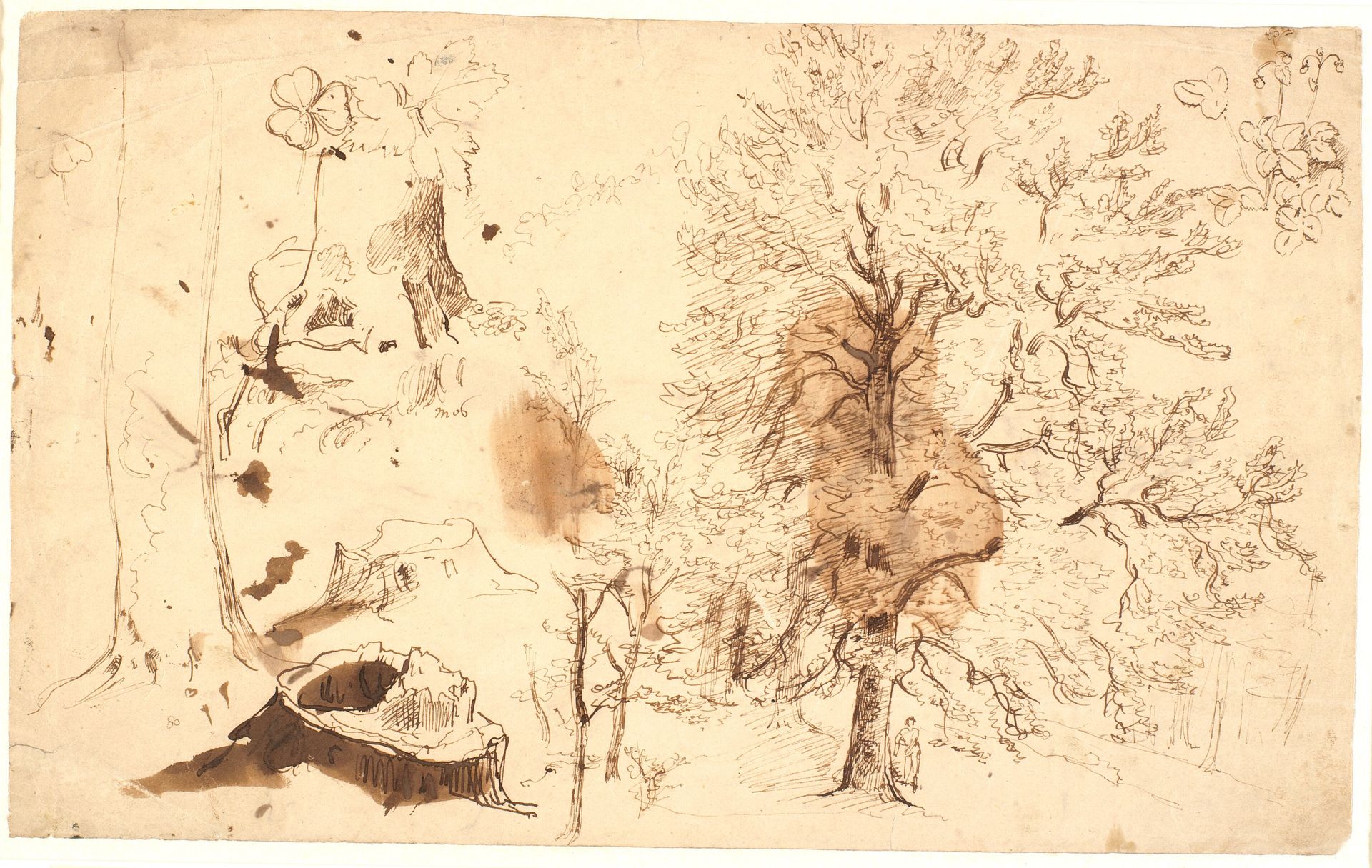 Studie med træer, planter og stubbe by Dankvart Dreyer