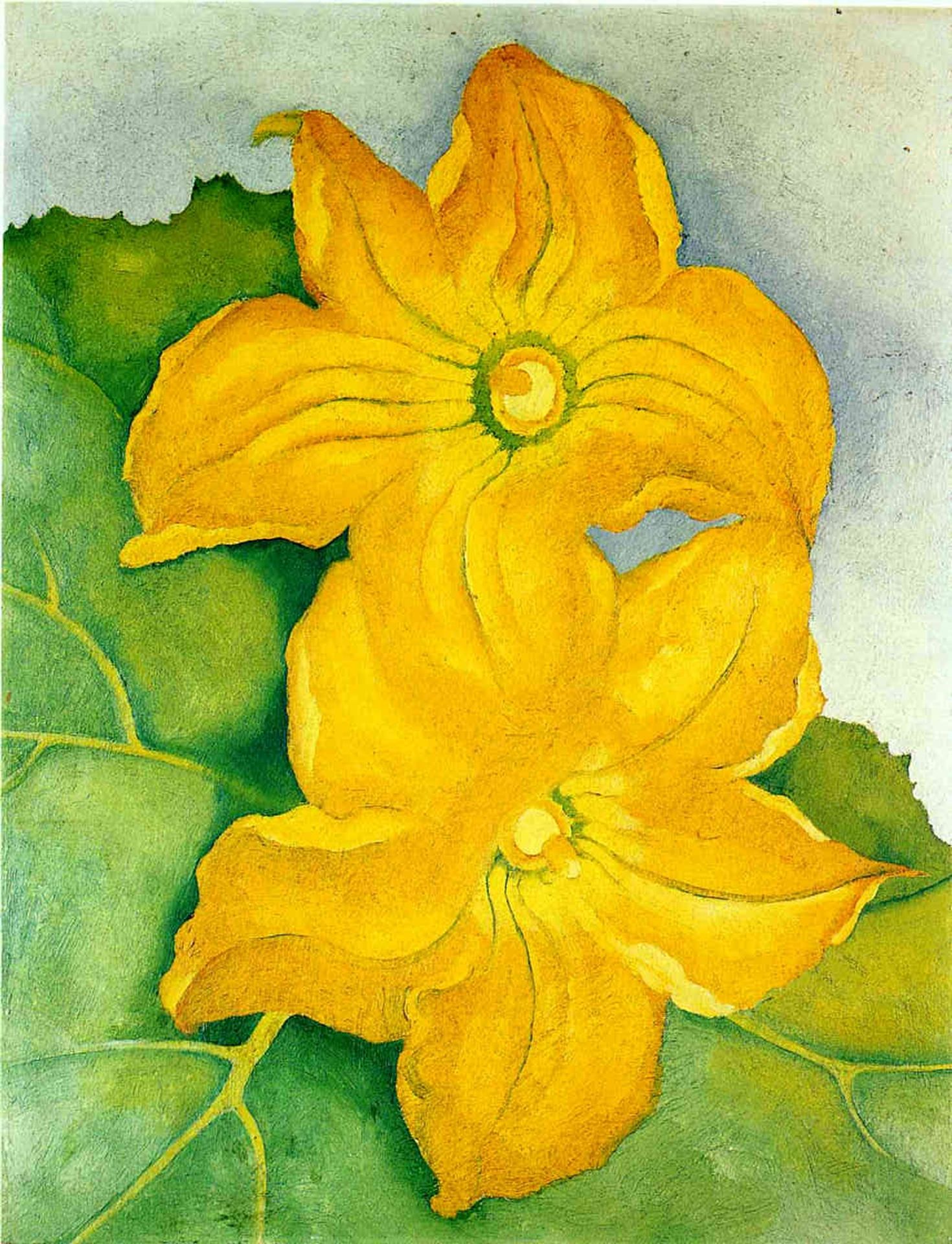 Squash Blossoms I by Georgia O'Keeffe