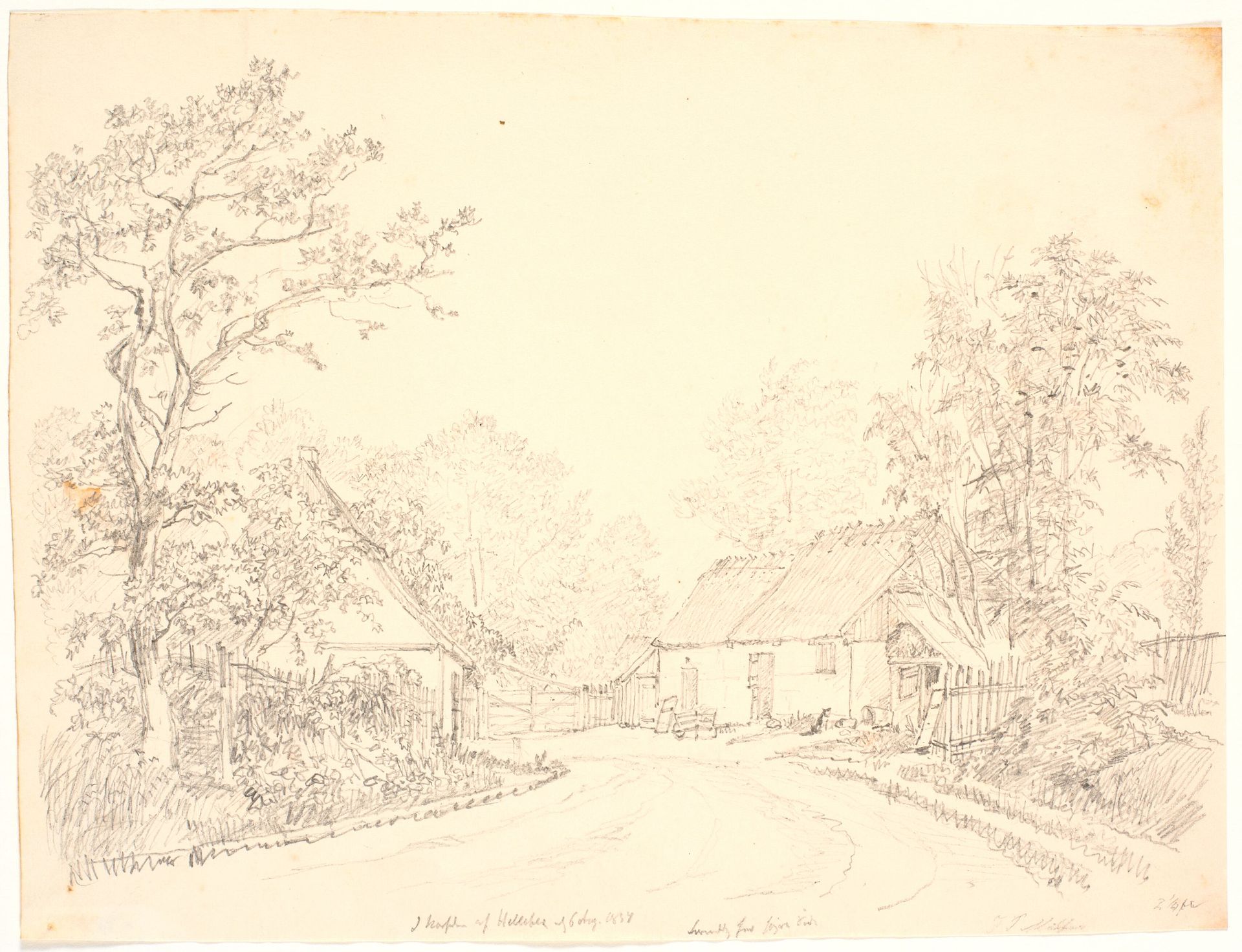 Parti i nærheden af Hellesbæk by J.P. Møller