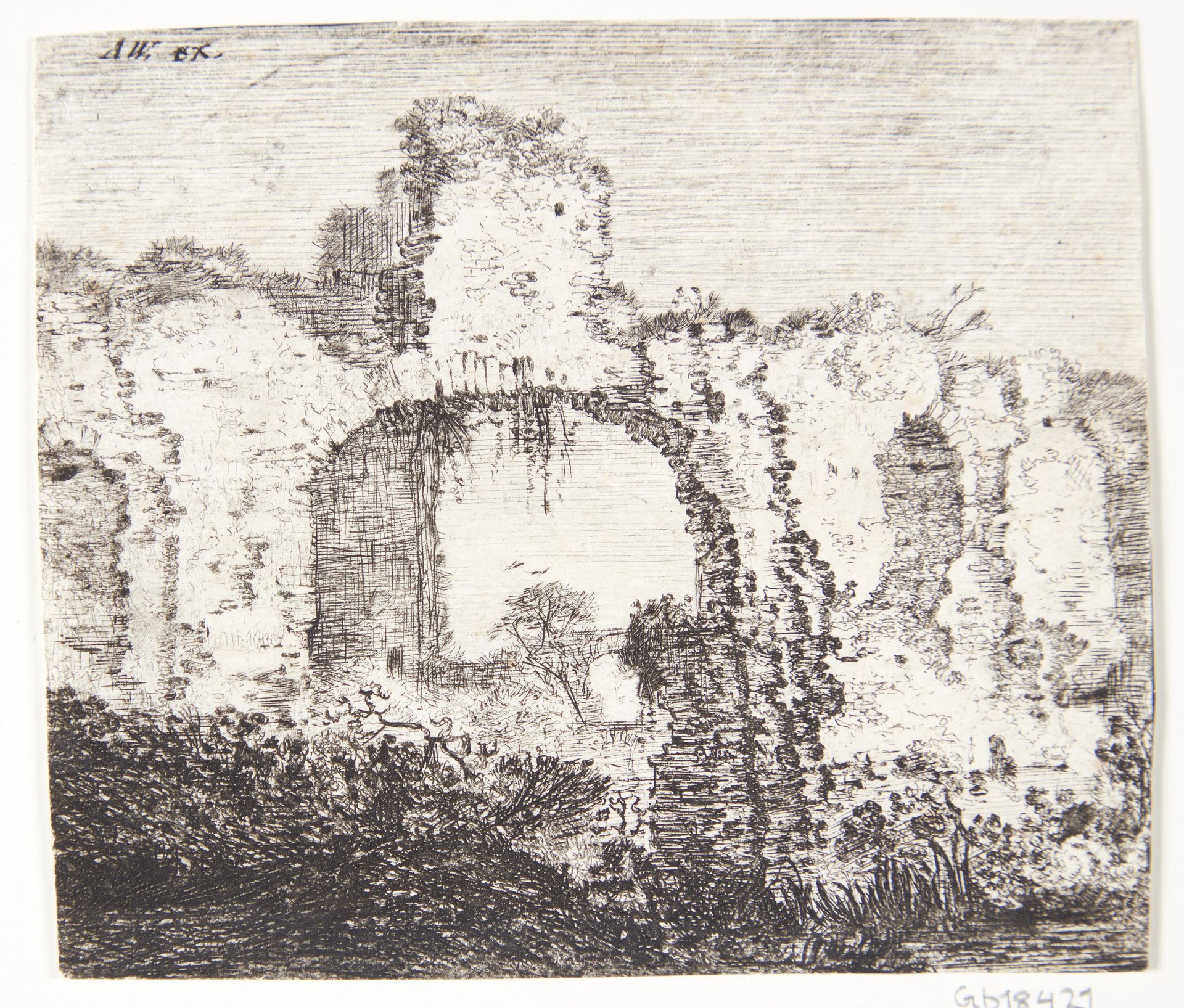 Tilgroet ruin by Jan Ruyscher