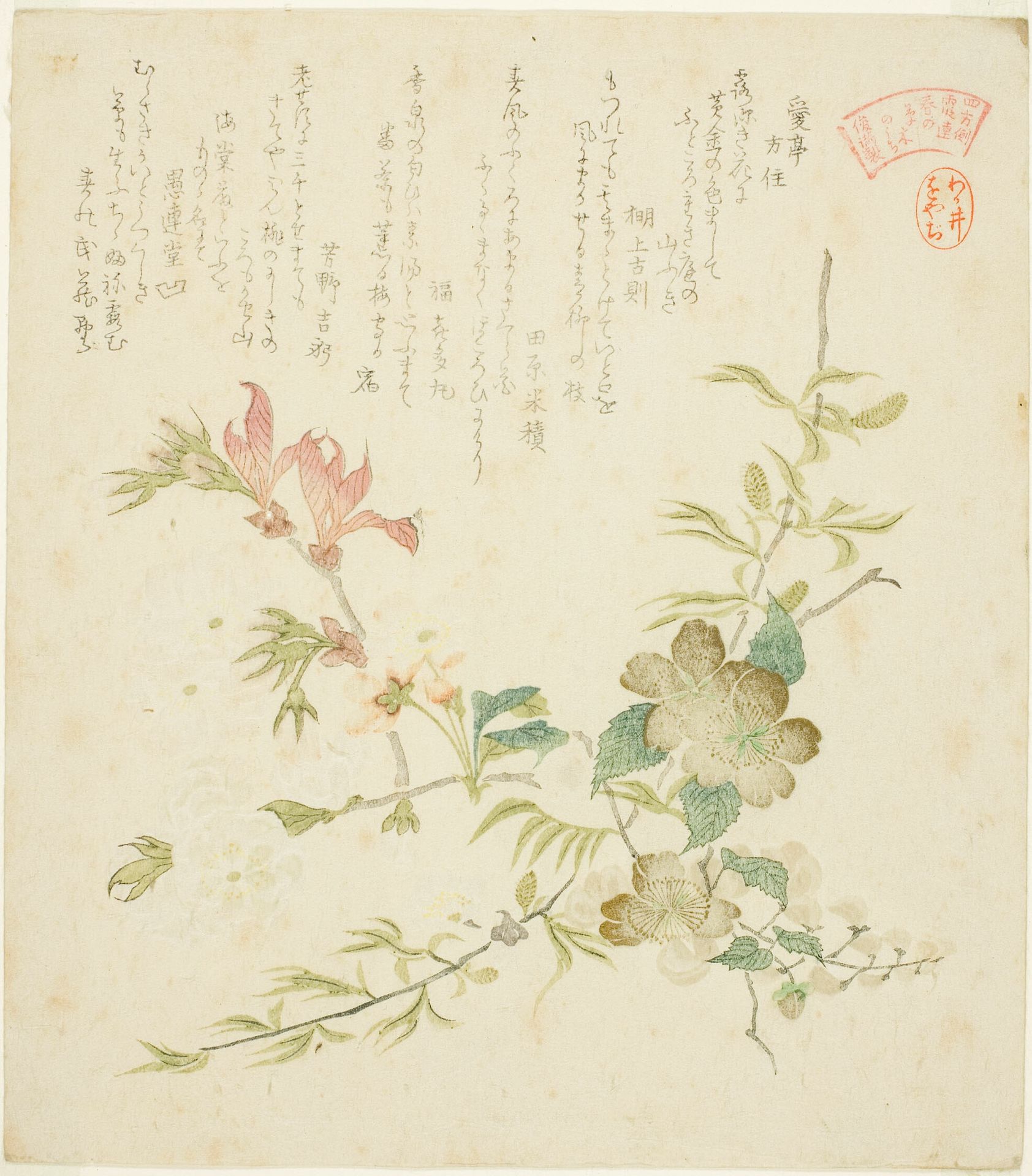 Various Spring Flowers, from the series "Springtime Plants and Trees for the Kasumi Poetry Circle of the Yomo Group (Yomogawa Kasumi-ren haru no kusaki no uchi)" by Kubo Shunman