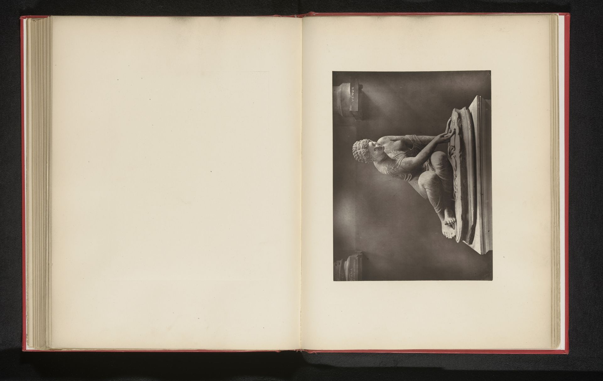 Standbeeld van een jonge vrouw, mogelijk een nimf van Artemis by Stephen Thompson