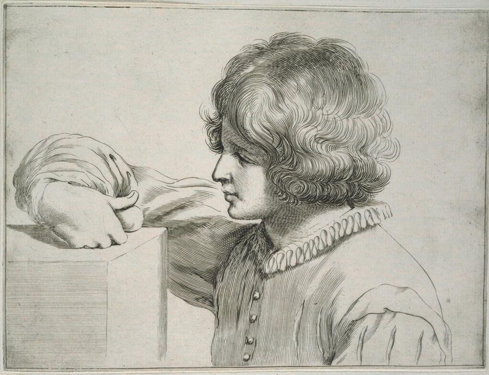 Plate XIV by Francesco Curti