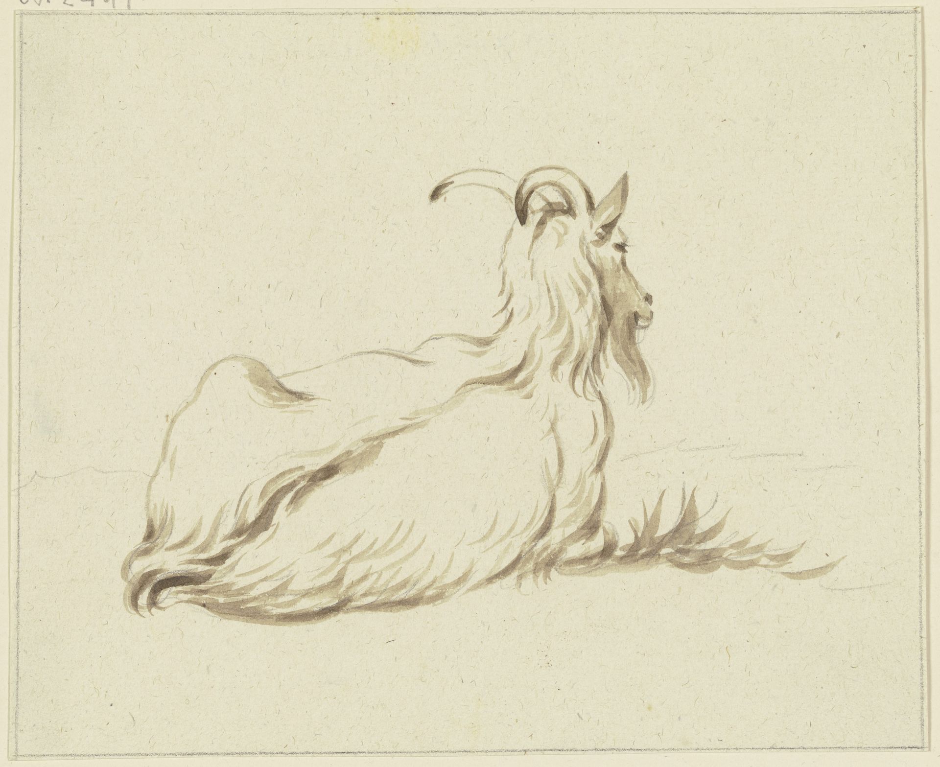 Liegende Ziege nach rechts, rückansichtig by Friedrich Wilhelm Hirt