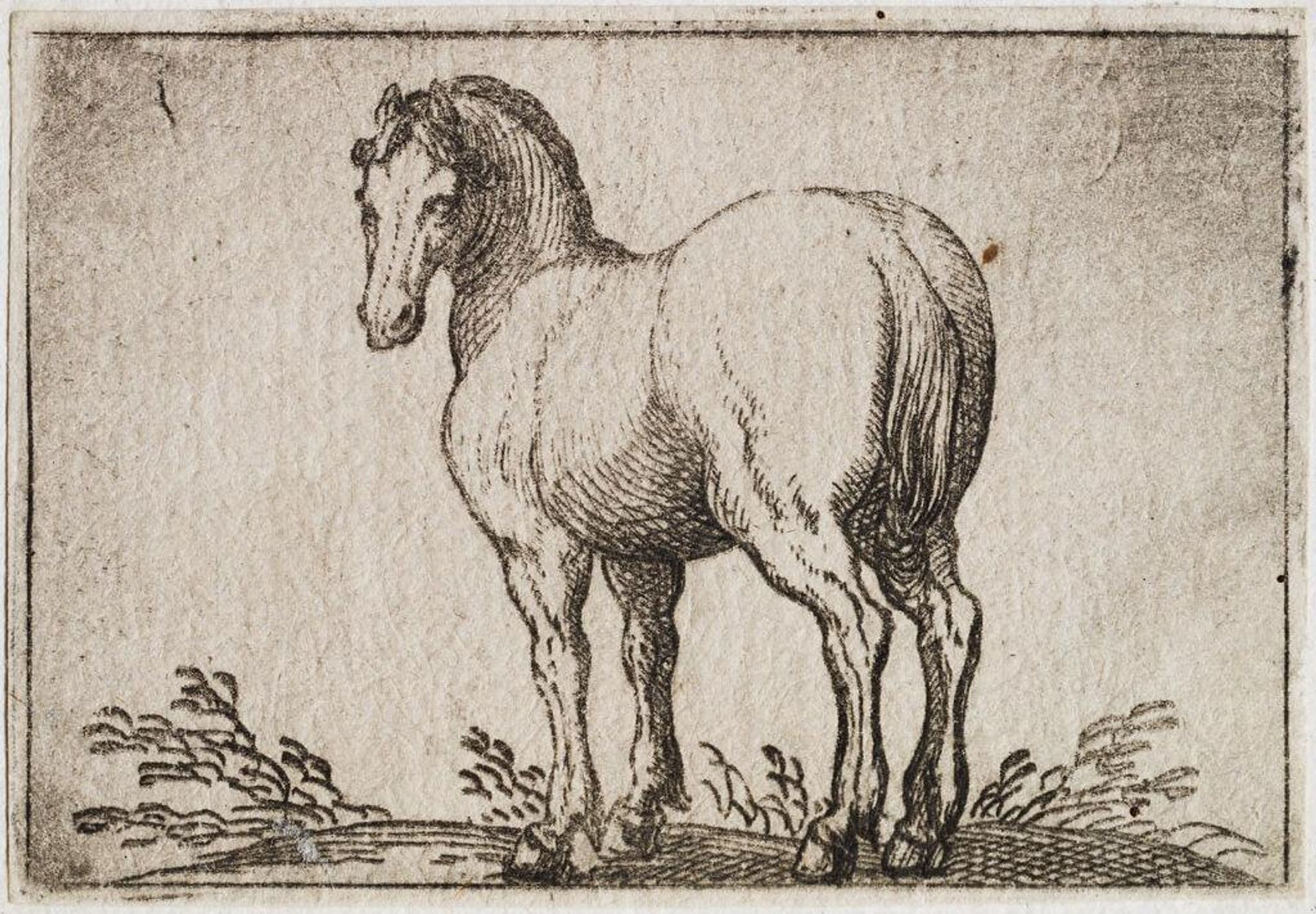 Standing Horse Viewed from the Rear by Antonio Tempesta