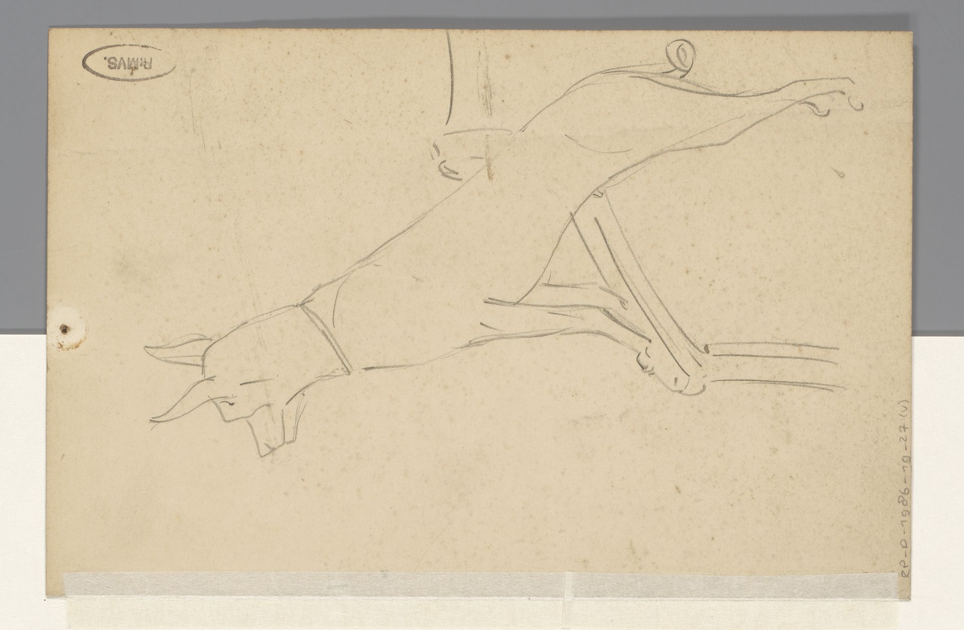 Hond met de voorpoten op een leuning by Reinier Willem Petrus de (1874-1952) Vries