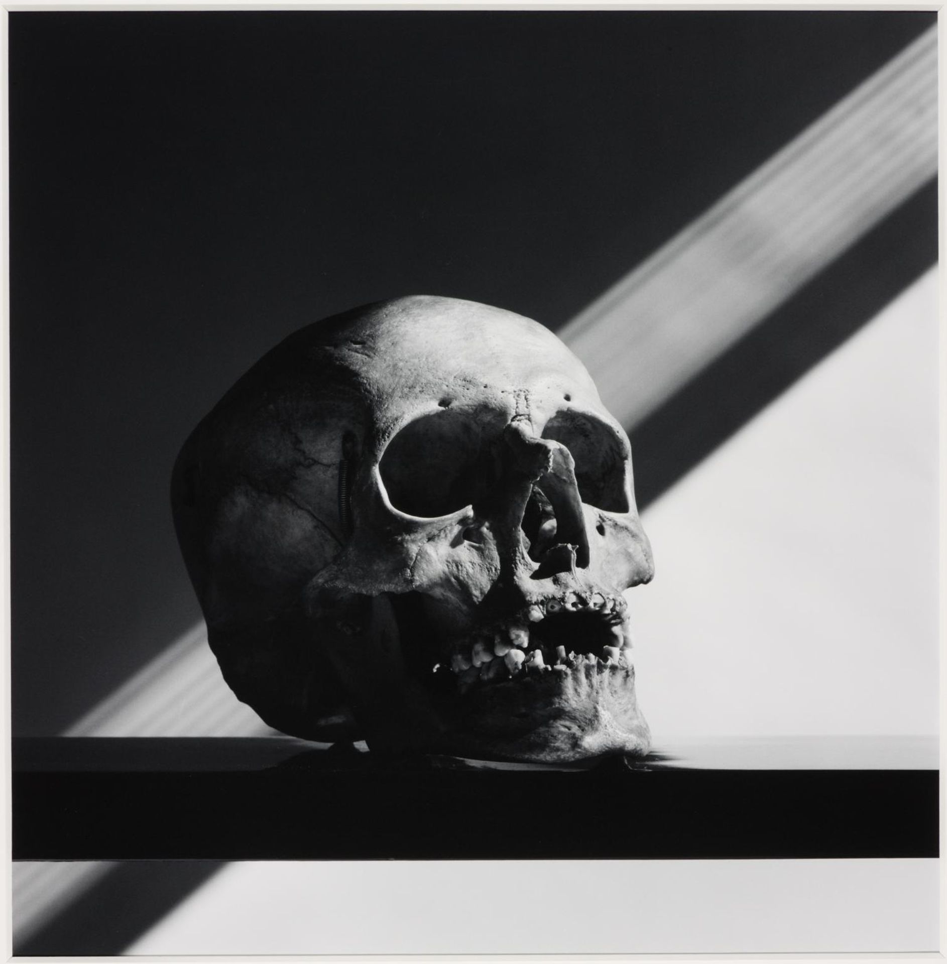 Skull - Robert Mapplethorpe | Artera | AskArtera