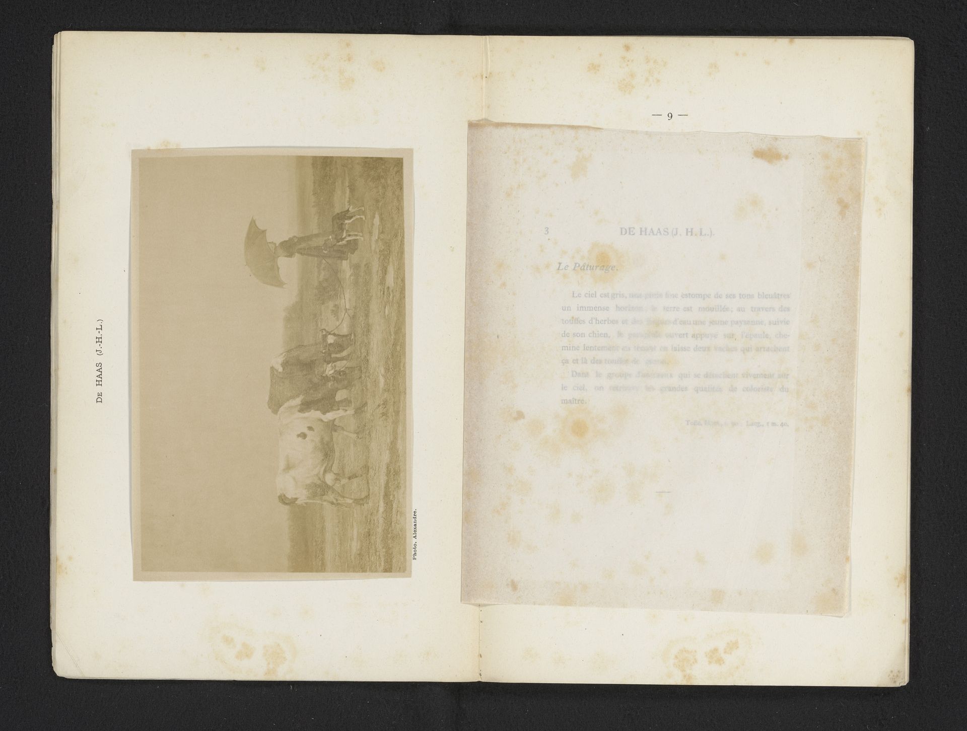 Fotoreproductie van een schilderij van een herderin met twee koeien en een hond door Johannes Hubertus Leonardus de Haas by Alexandre (fotograaf)