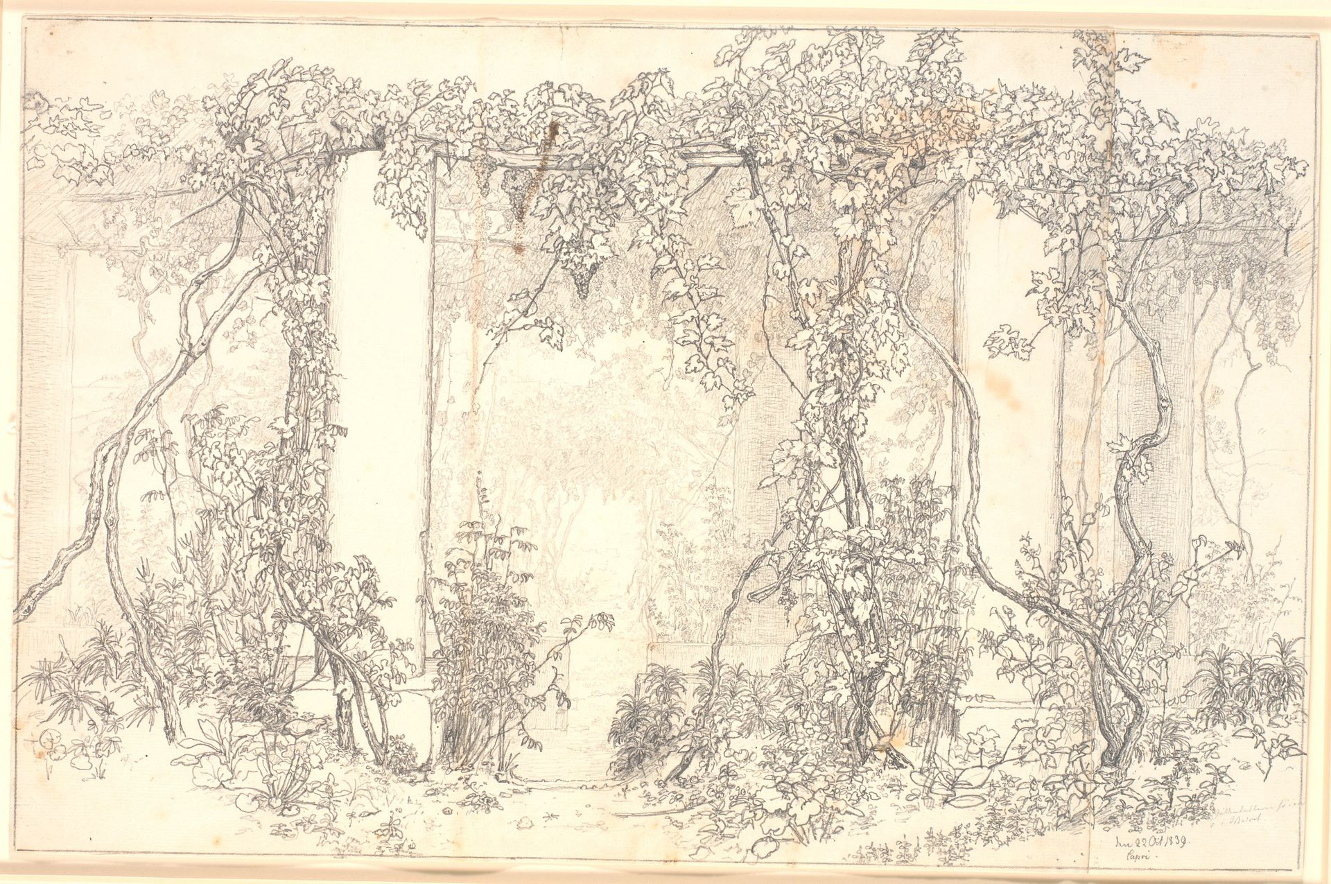 Studie af en pergola på Capri by Christen Købke