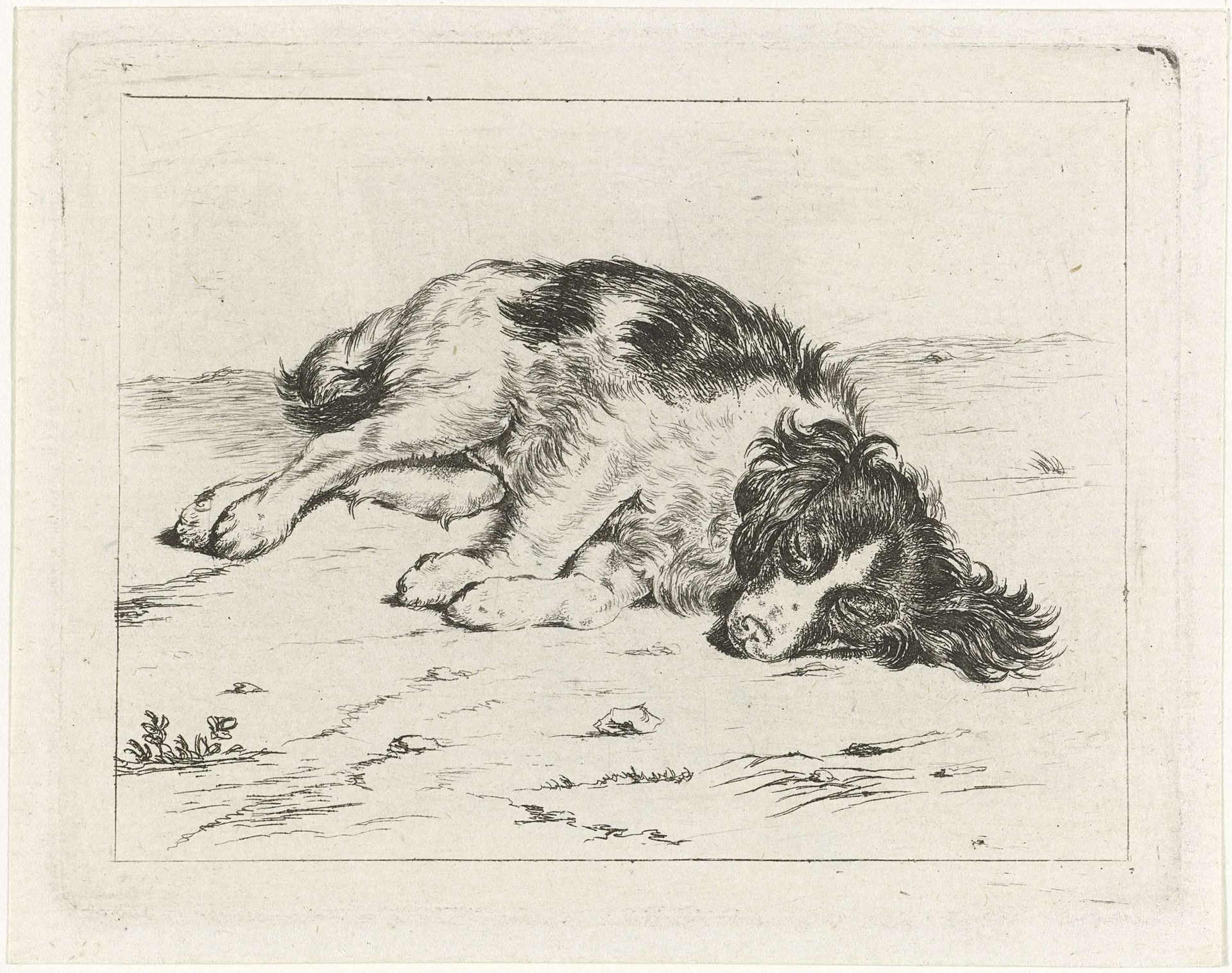 Slapende hond by Hendrik Godart de Marée
