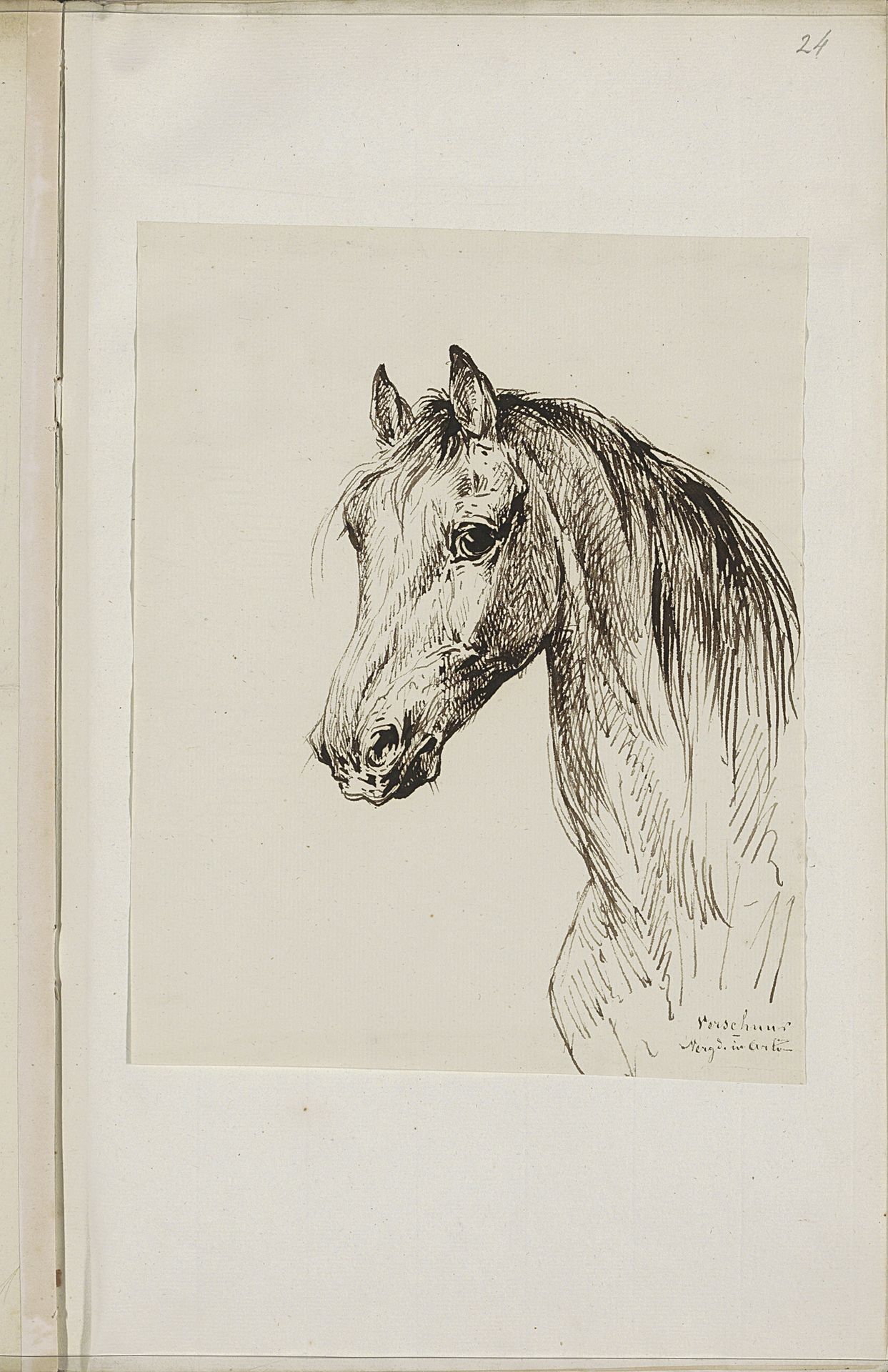 Paard by Wouter (1812-1874) Verschuur