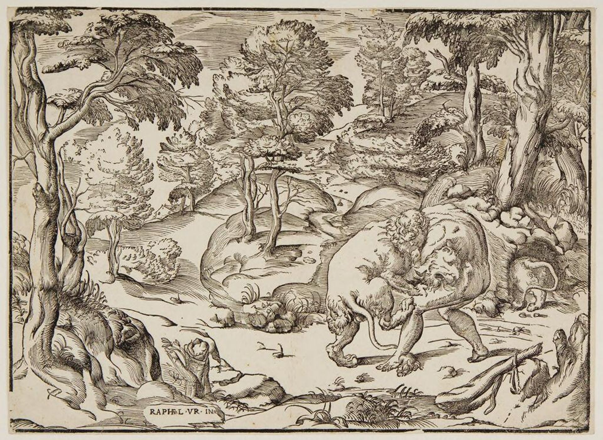 Hercules and the Nemean Lion by Nicolò Boldrini