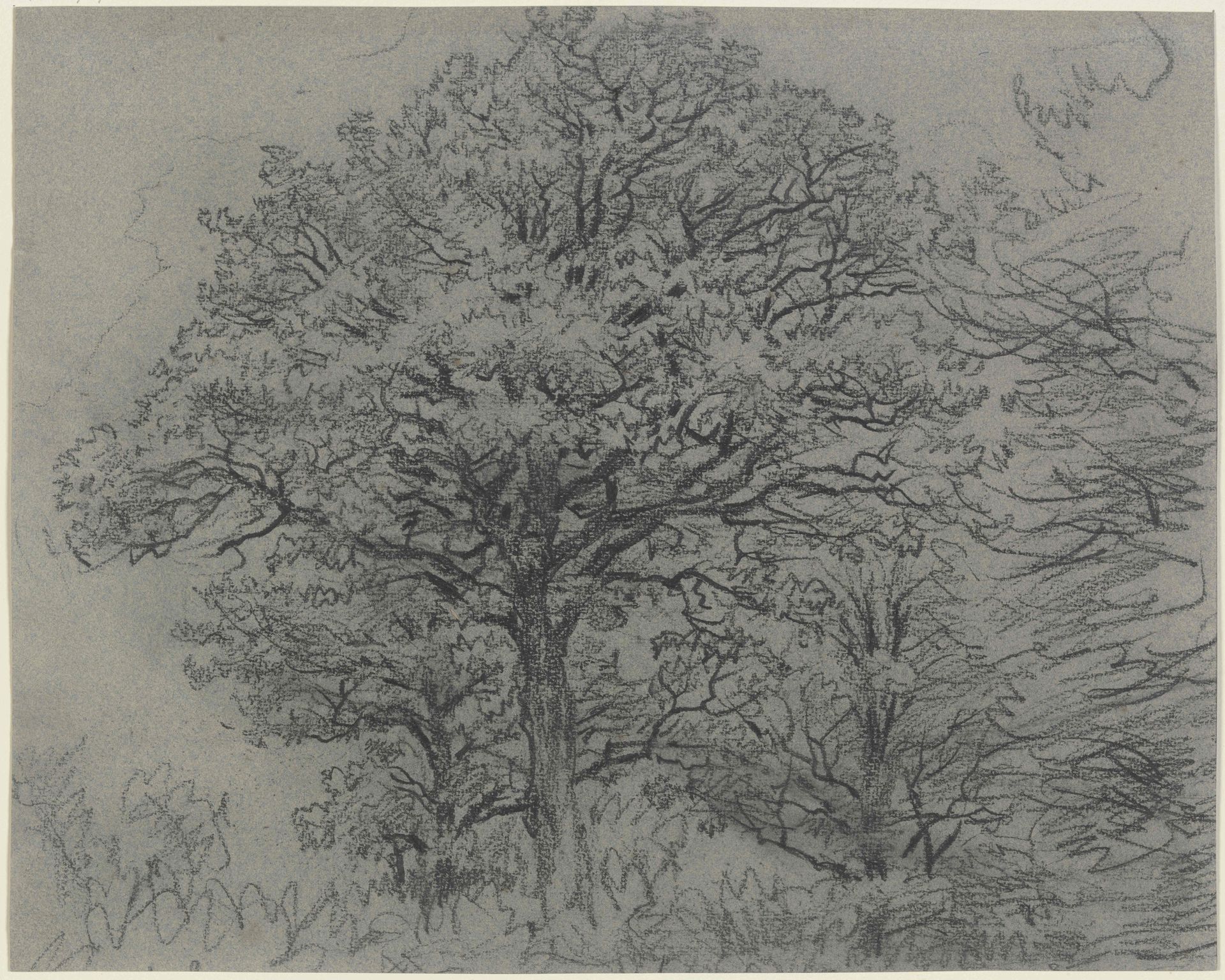 Group of trees by Jakob Maurer