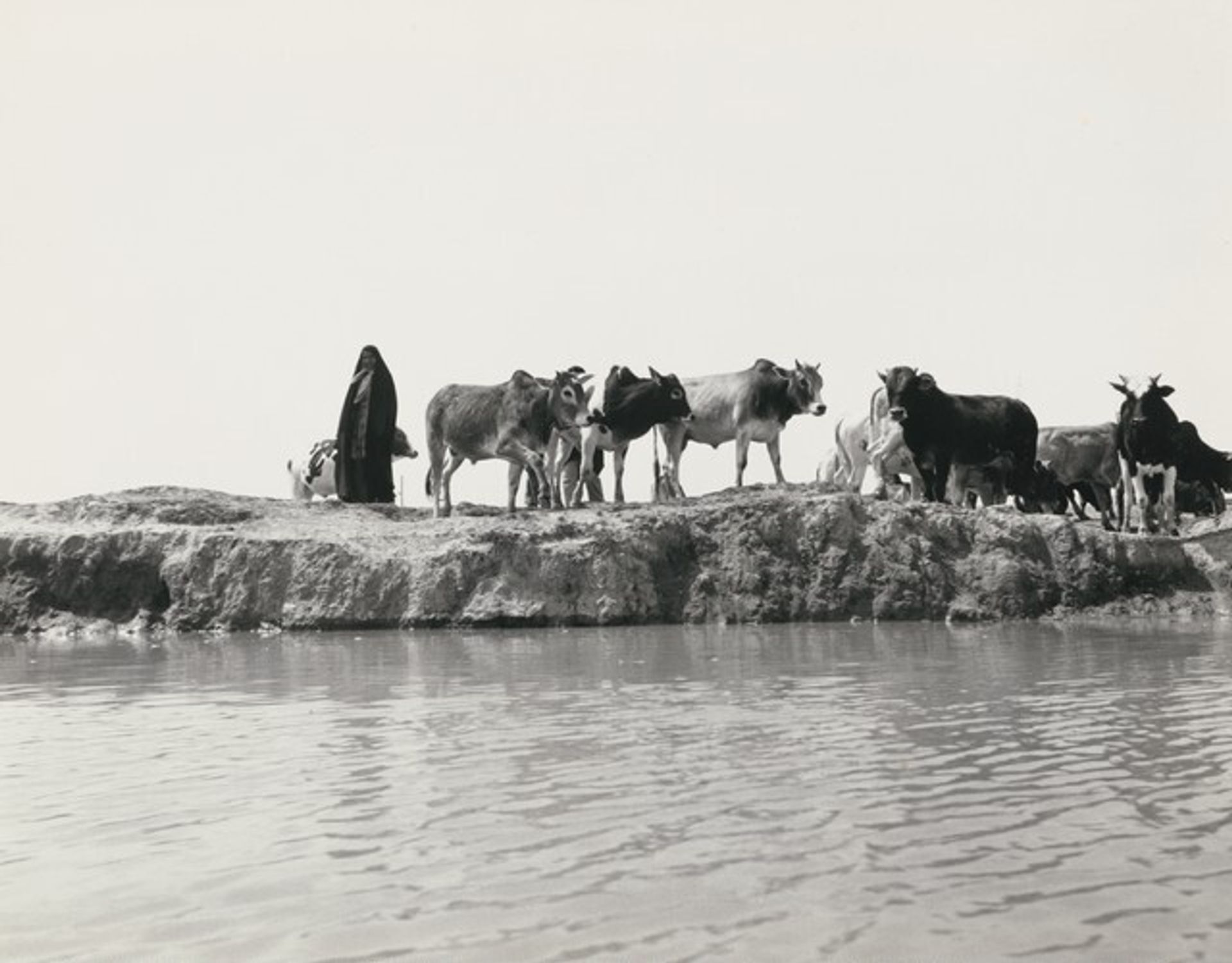 Untitled by Ursula Schulz-Dornburg