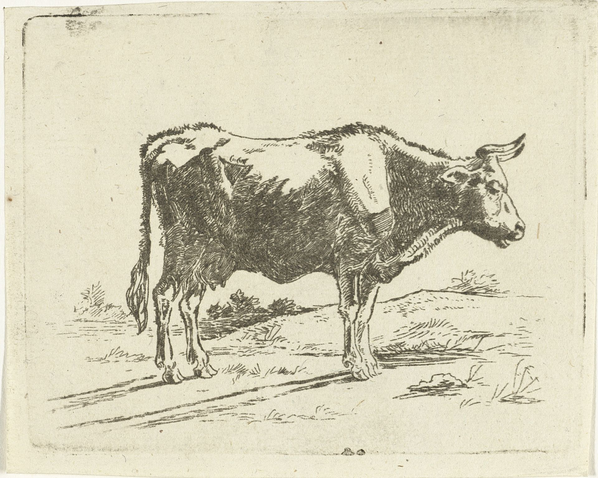 Staande koe by Jan Dasveldt