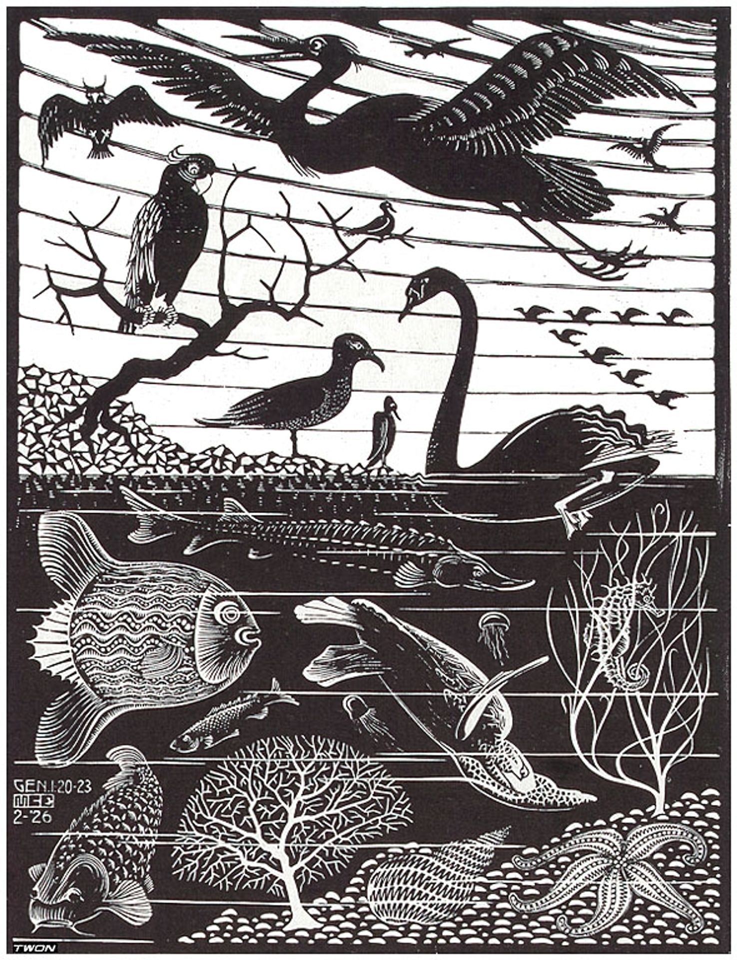 The 5th Day of the Creation by M.C. Escher