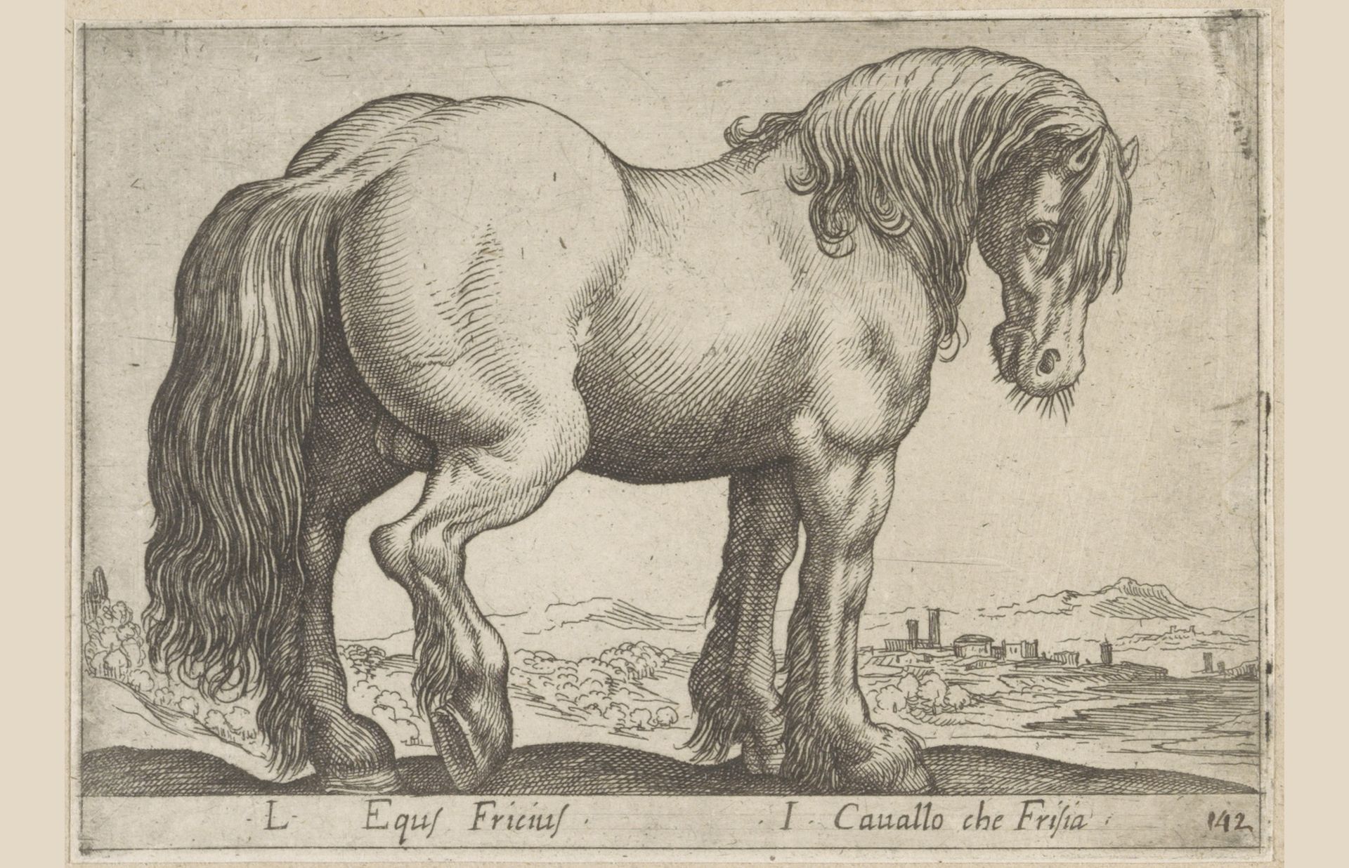 Fries paard by Antonio Tempesta