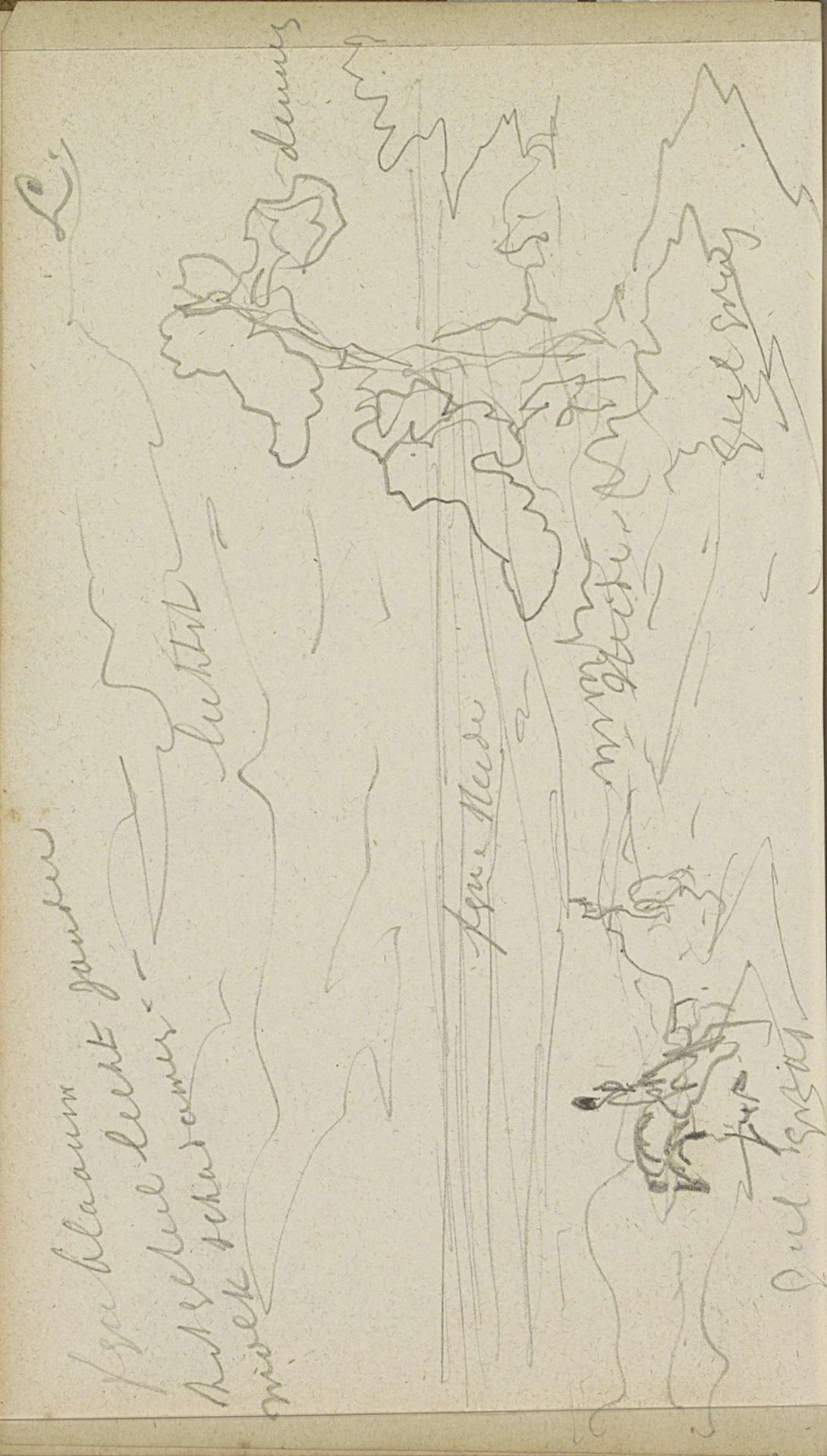 Heidelandschap met dennenbomen by Johannes Tavenraat