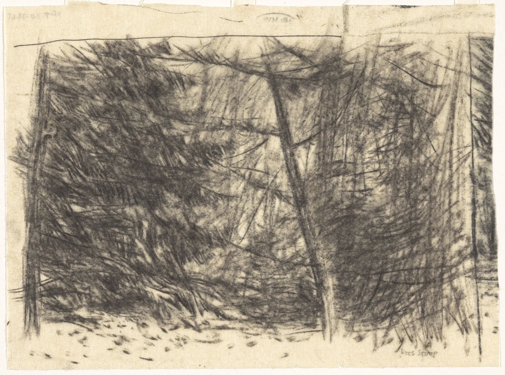 Bomen by Kees Stoop