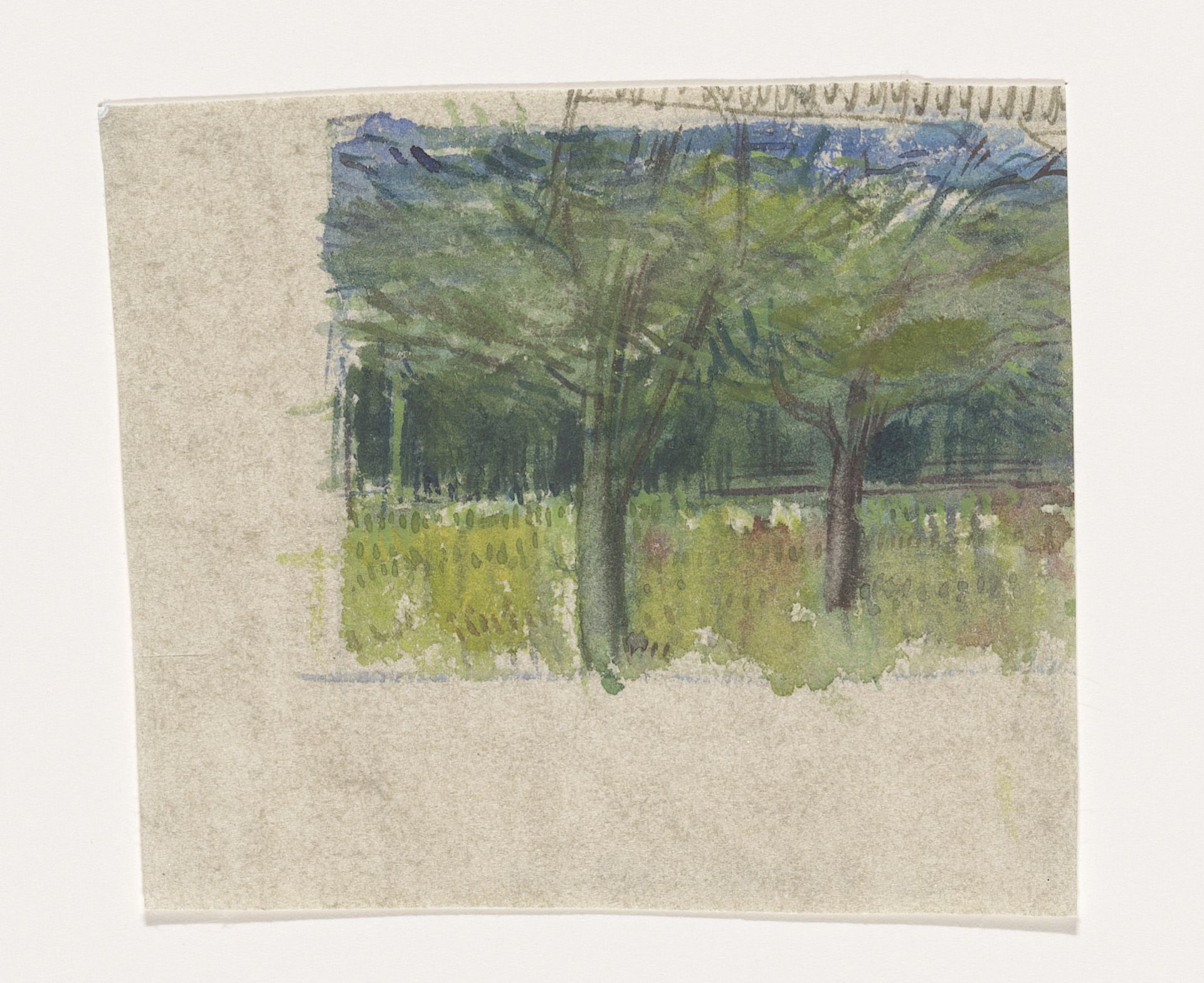 Bomen in blad in groen veld tegen blauwe lucht by Kees Stoop