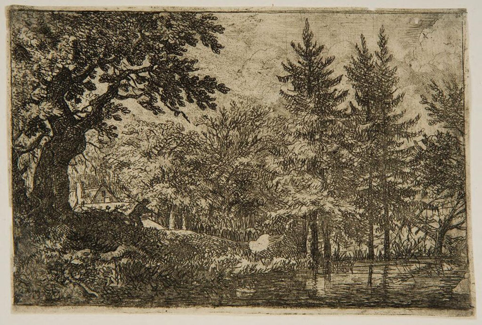 Pines in the Water by Allart van Everdingen