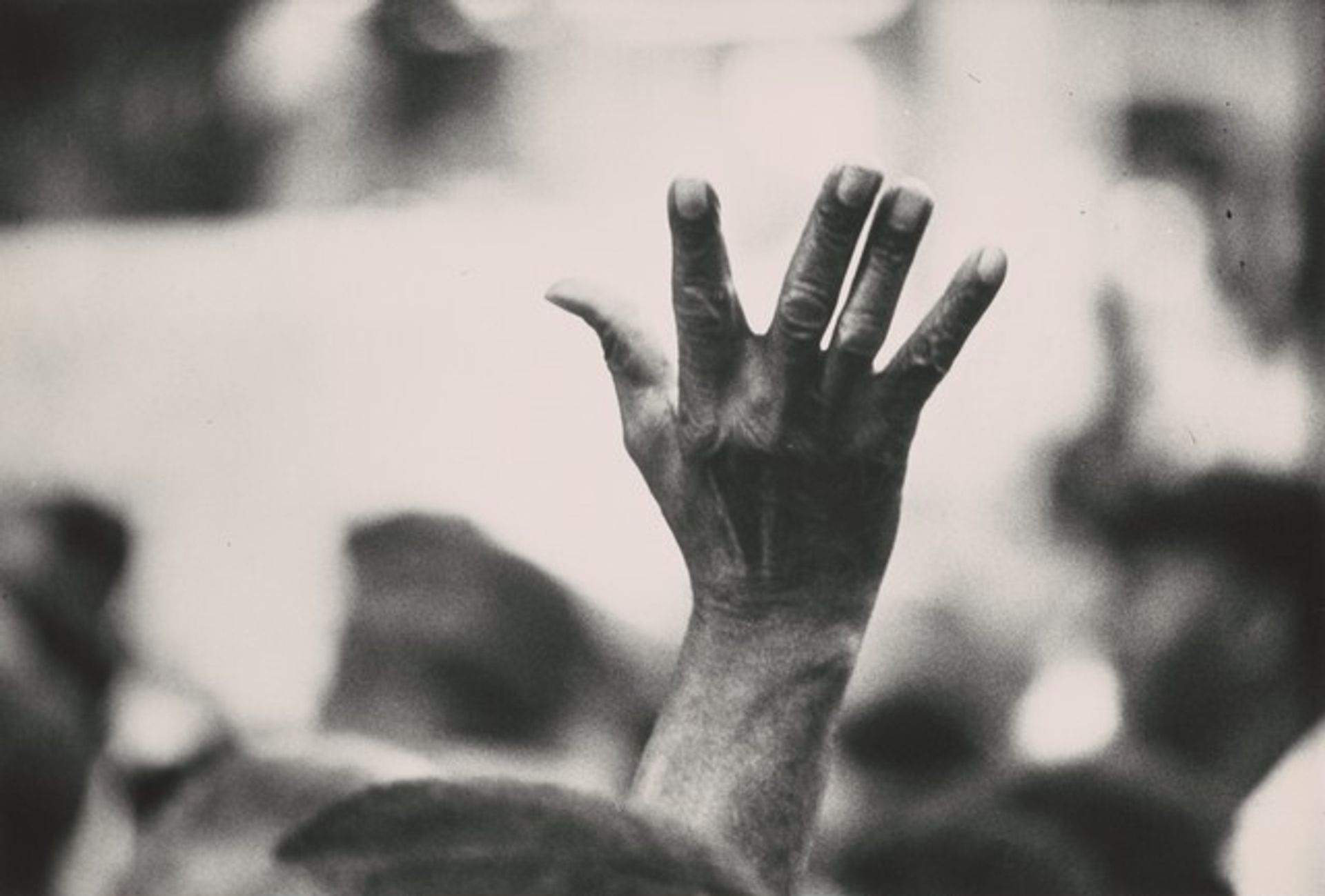 Muslim Rally by Gordon Parks