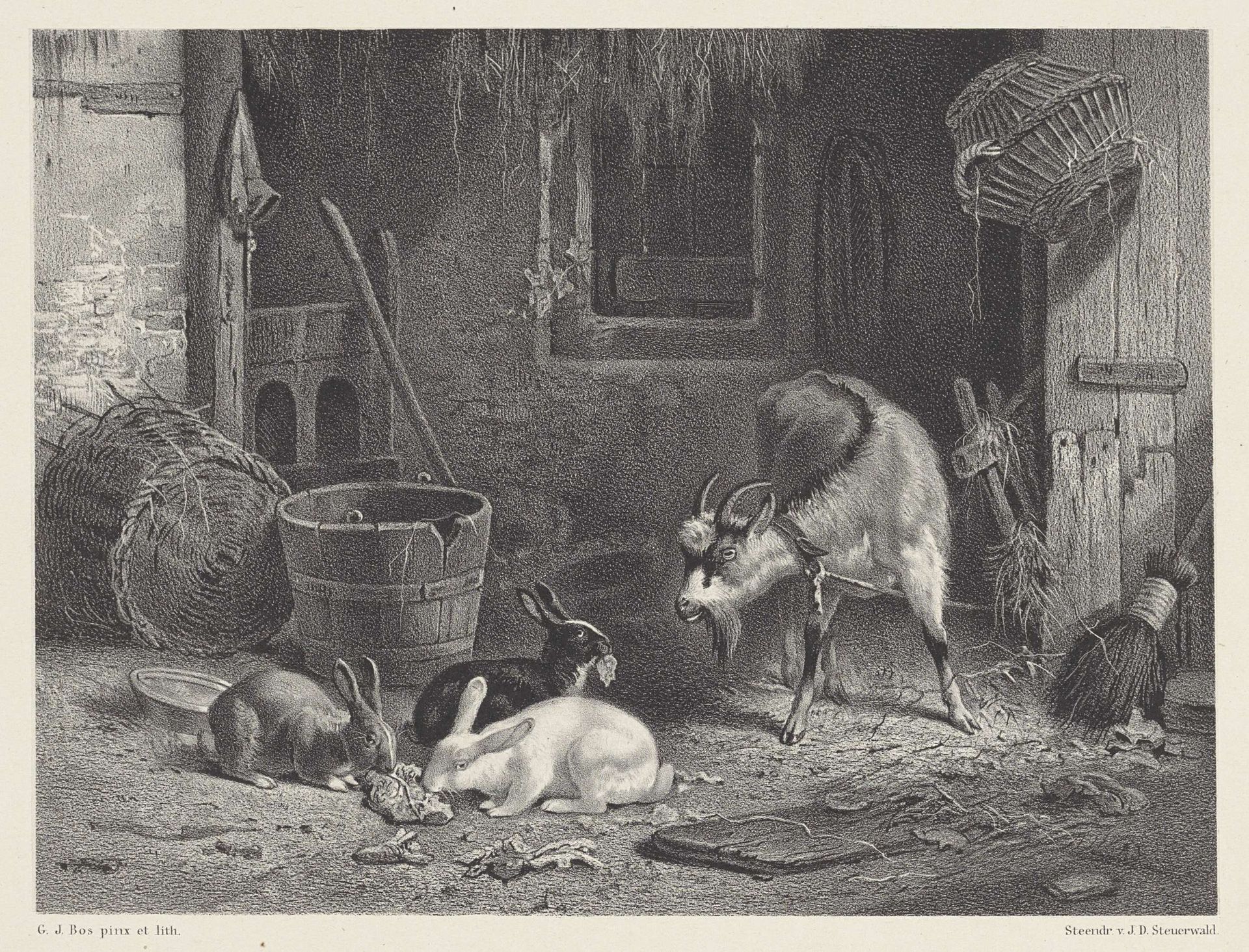 Bok en konijnen op een boerenerf by Gerard Jan Bos
