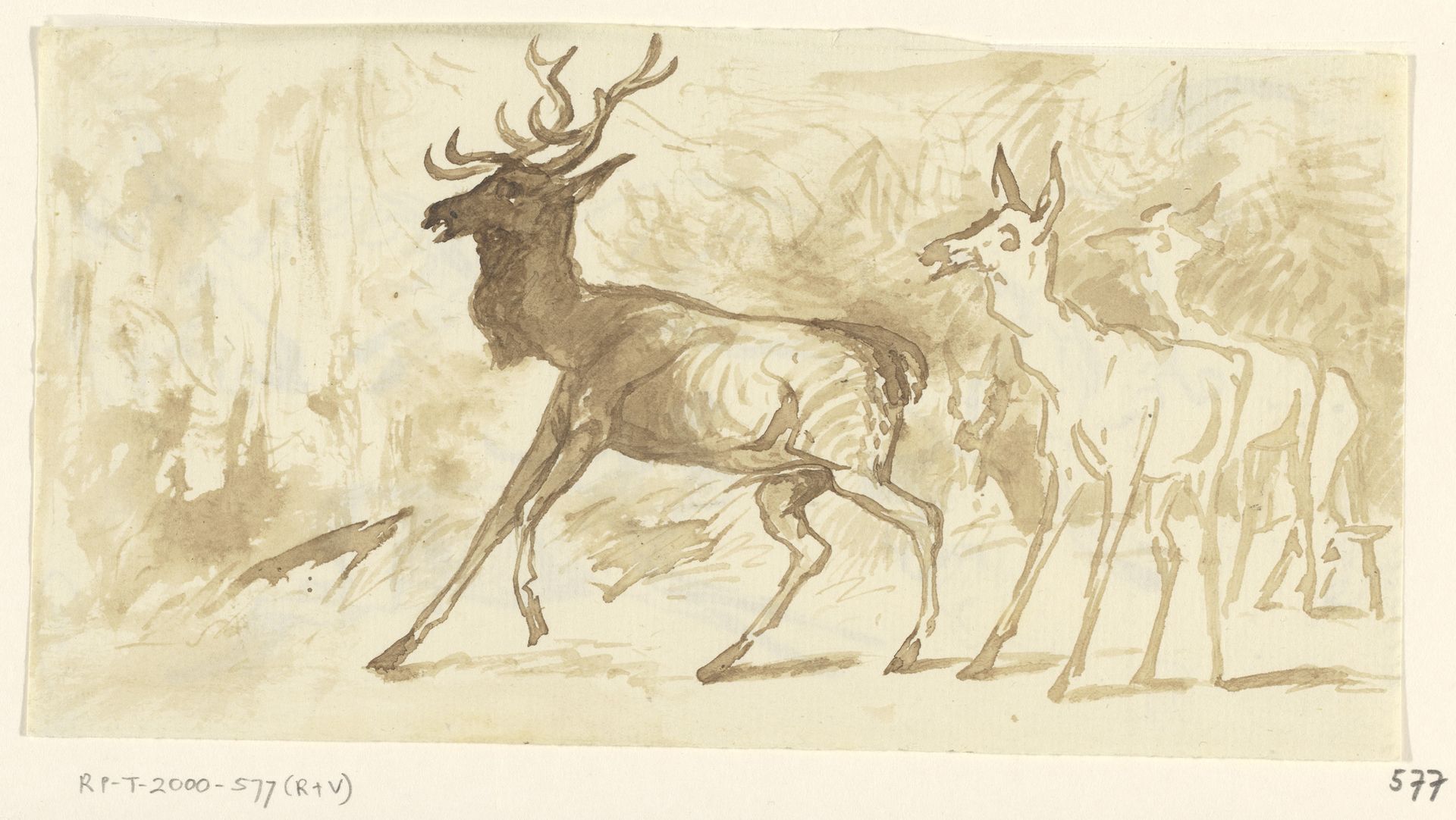 Schetsblad met herten en koppen by Johannes Tavenraat