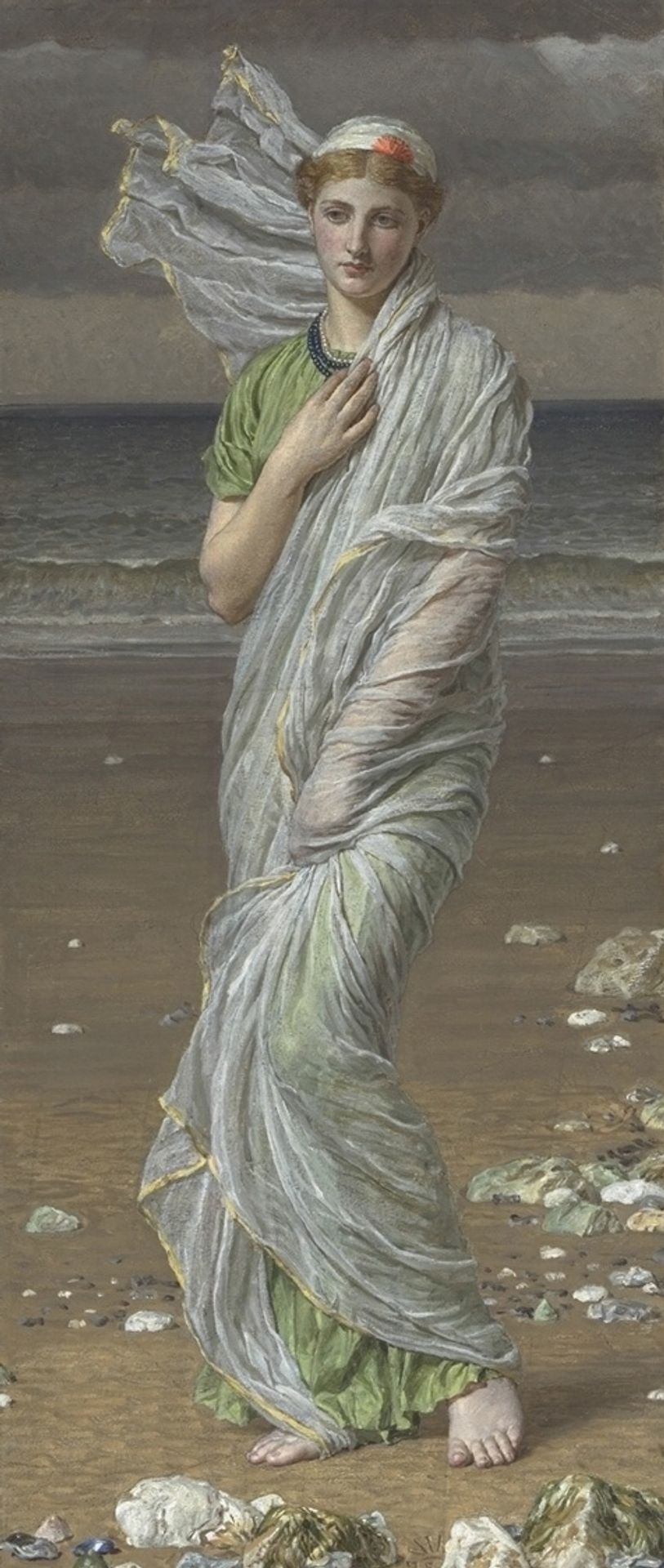 Seashells by Albert Joseph Moore