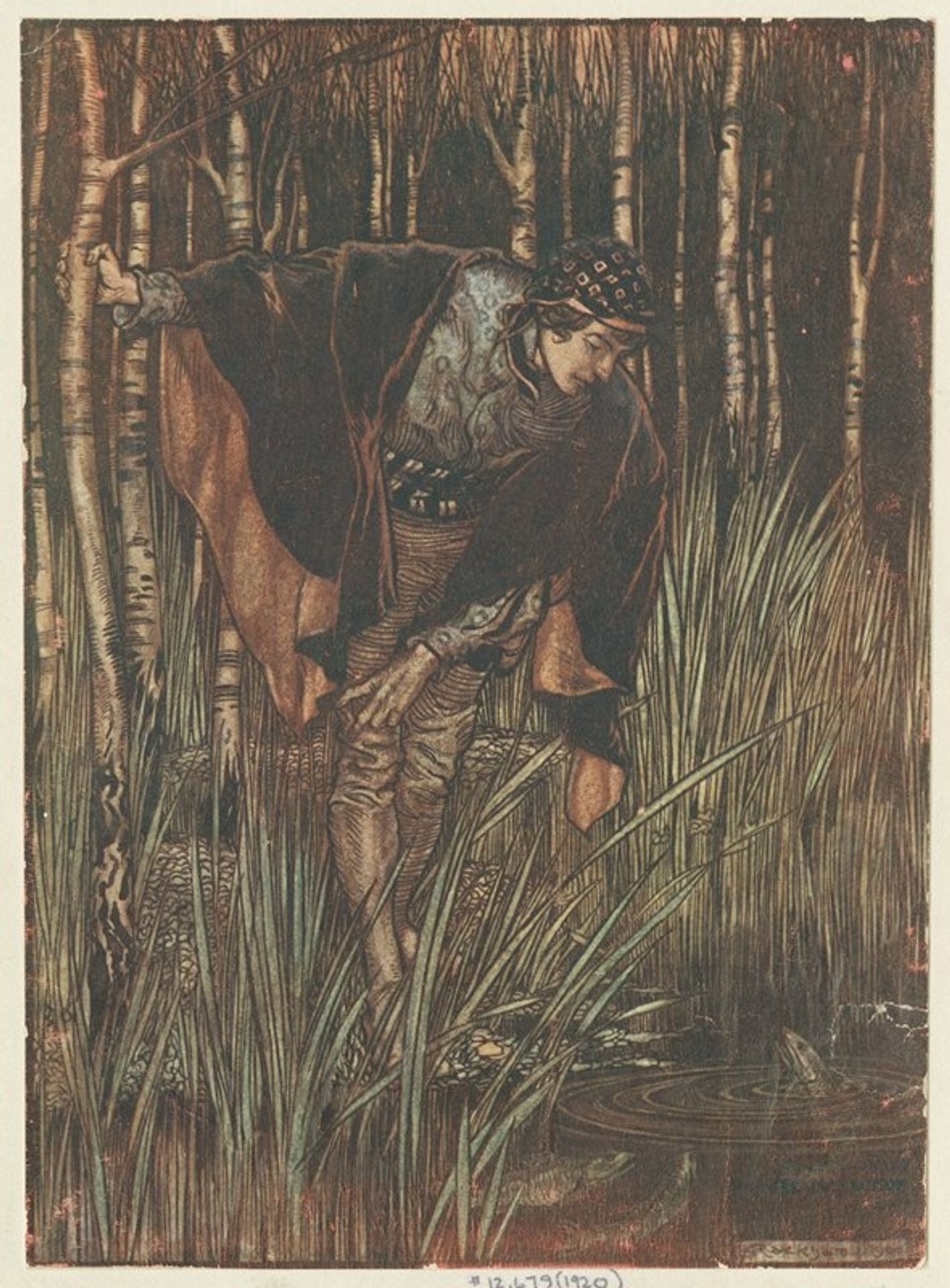 The white snake by Arthur Rackham