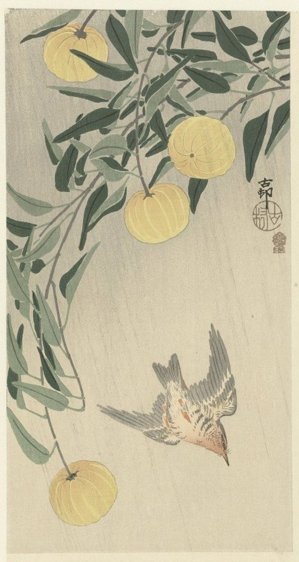 Cuckoo in the rain by Ohara Koson