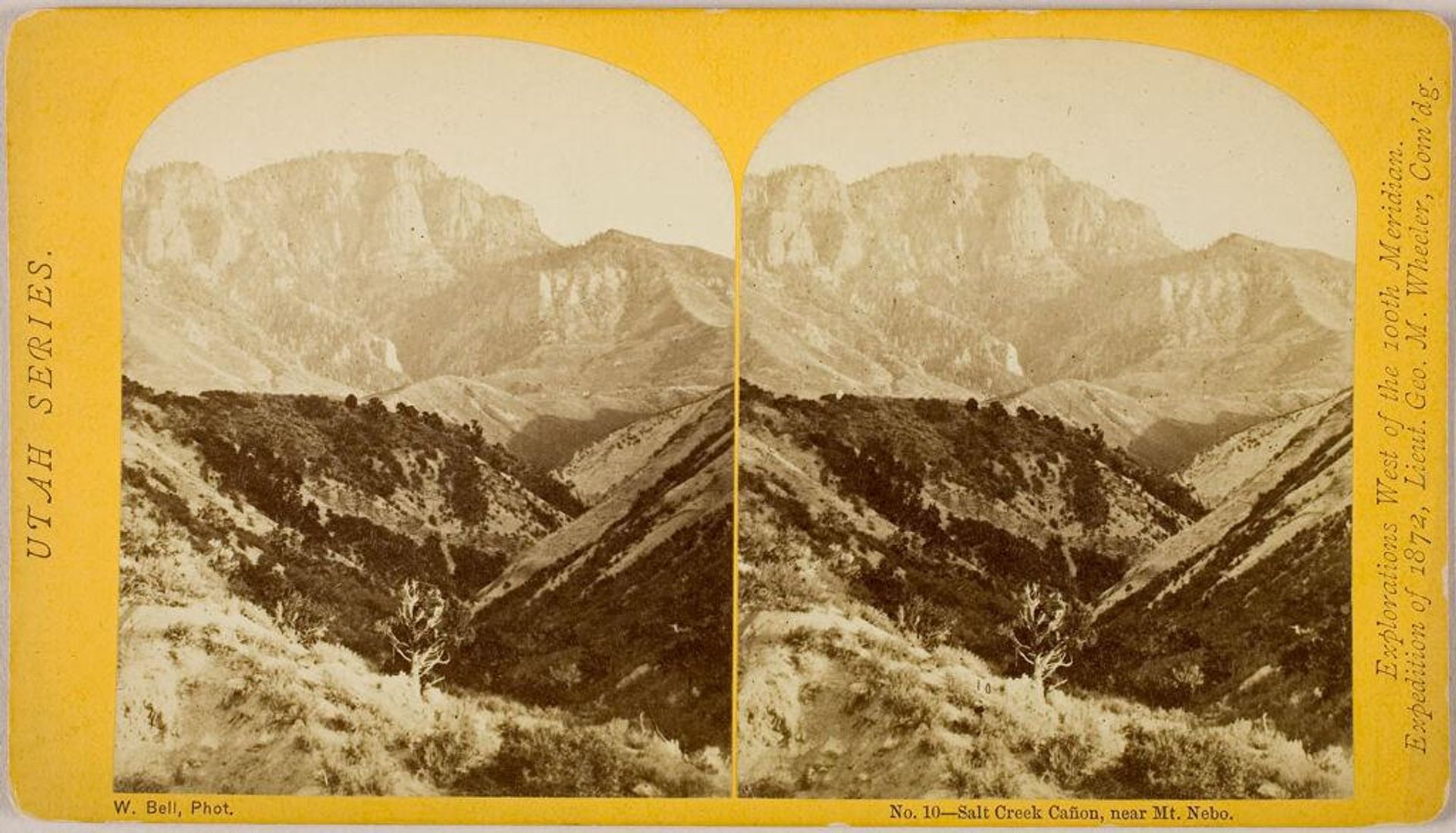 Salt Creek CaÃ±on, near Mt. Nebo by William Bell