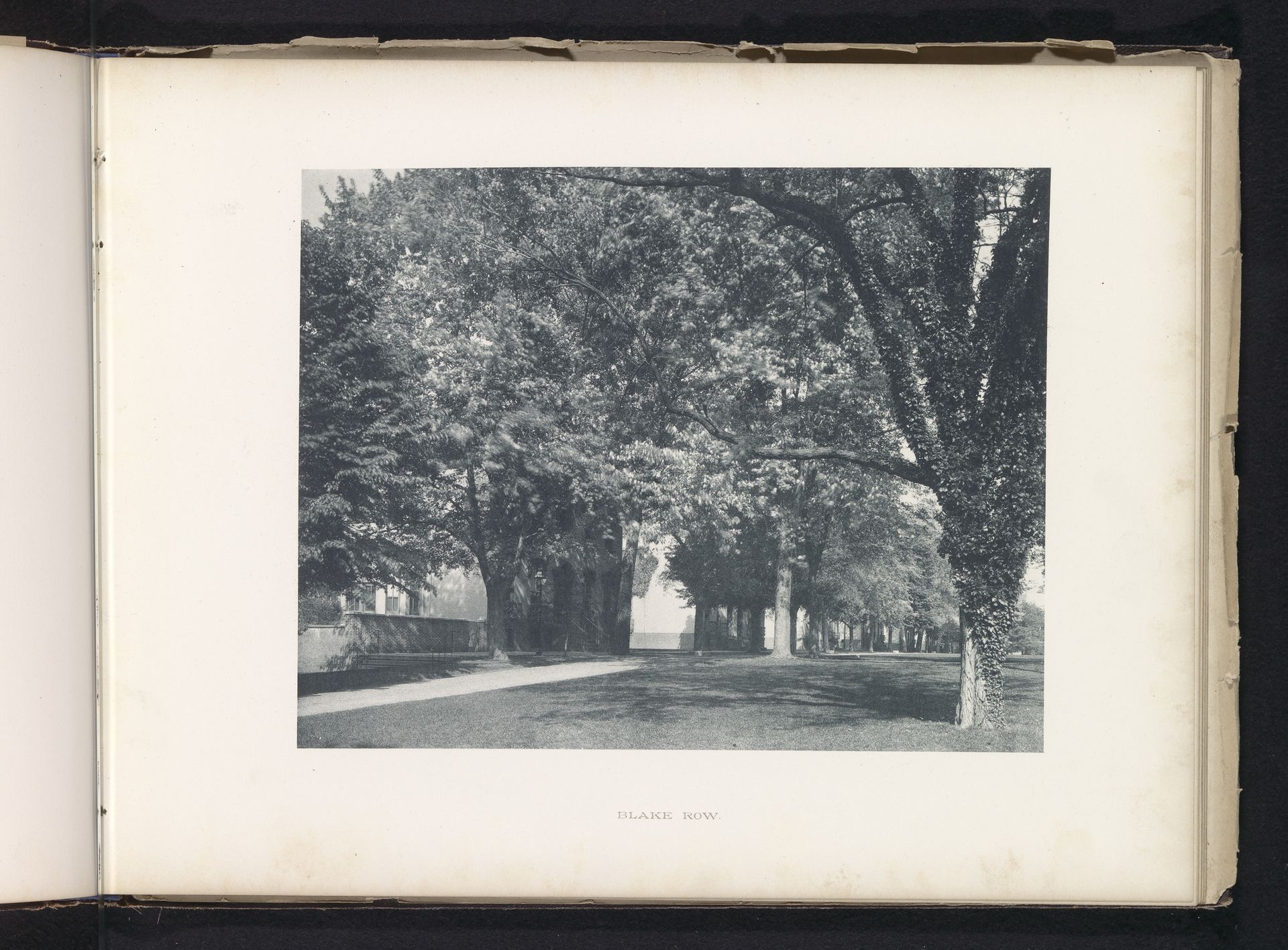 Blake Row by Edward H. Hart