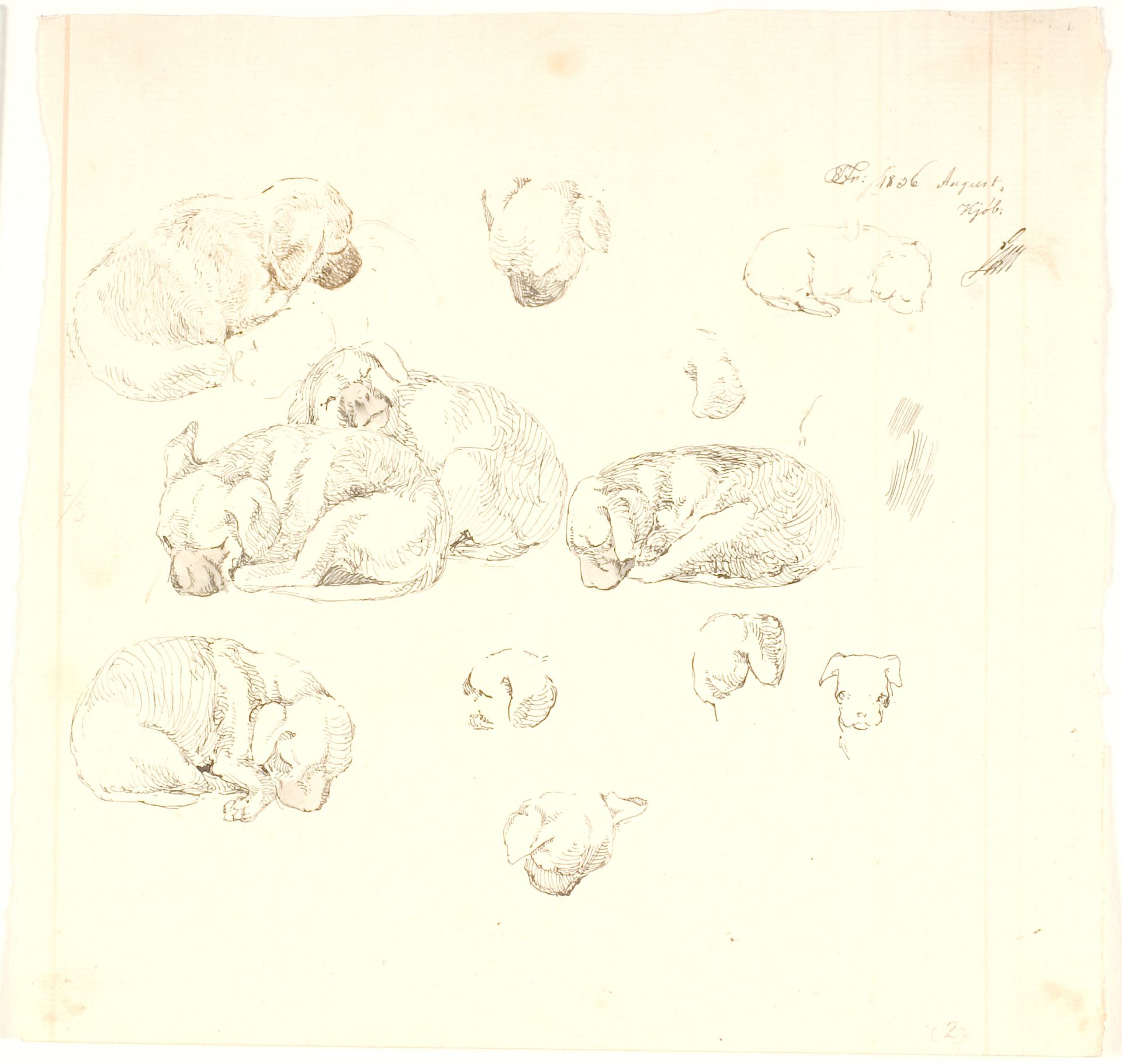 Studier af hunde by Lorenz Frølich